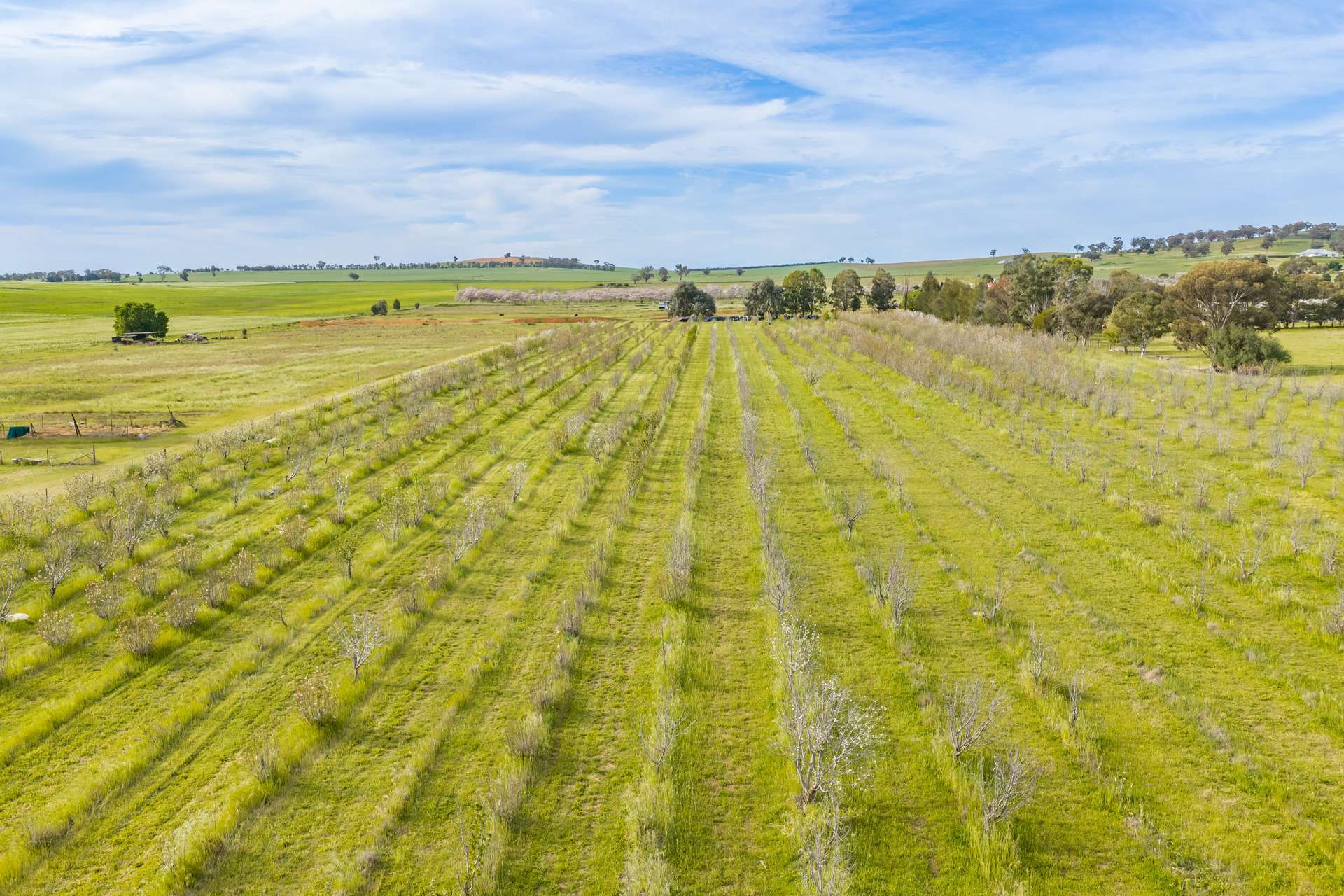 58 Longs Corner Road, Canowindra For Sale by Farmbuy.com - image 19