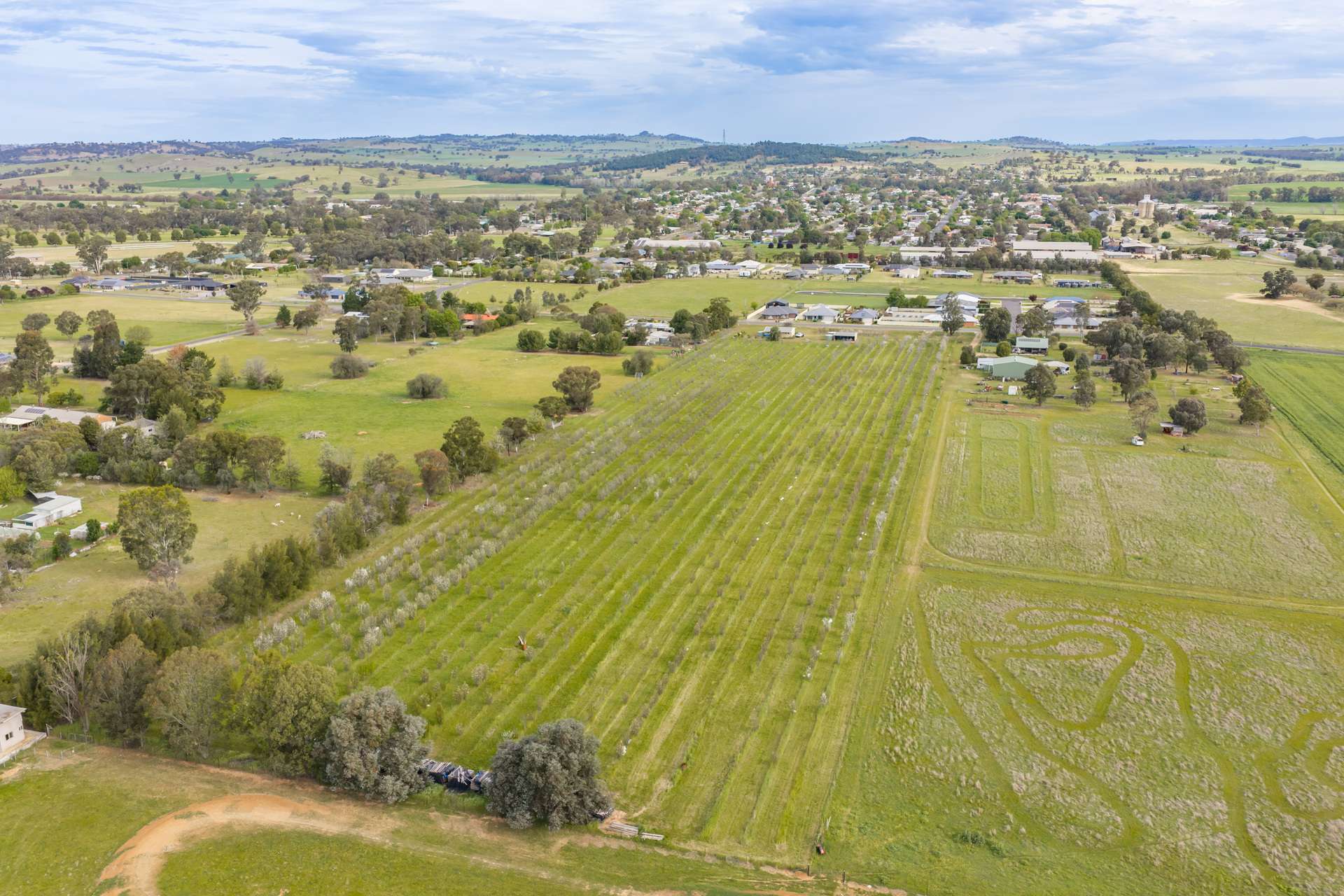 58 Longs Corner Road, Canowindra For Sale by Farmbuy.com - image 18