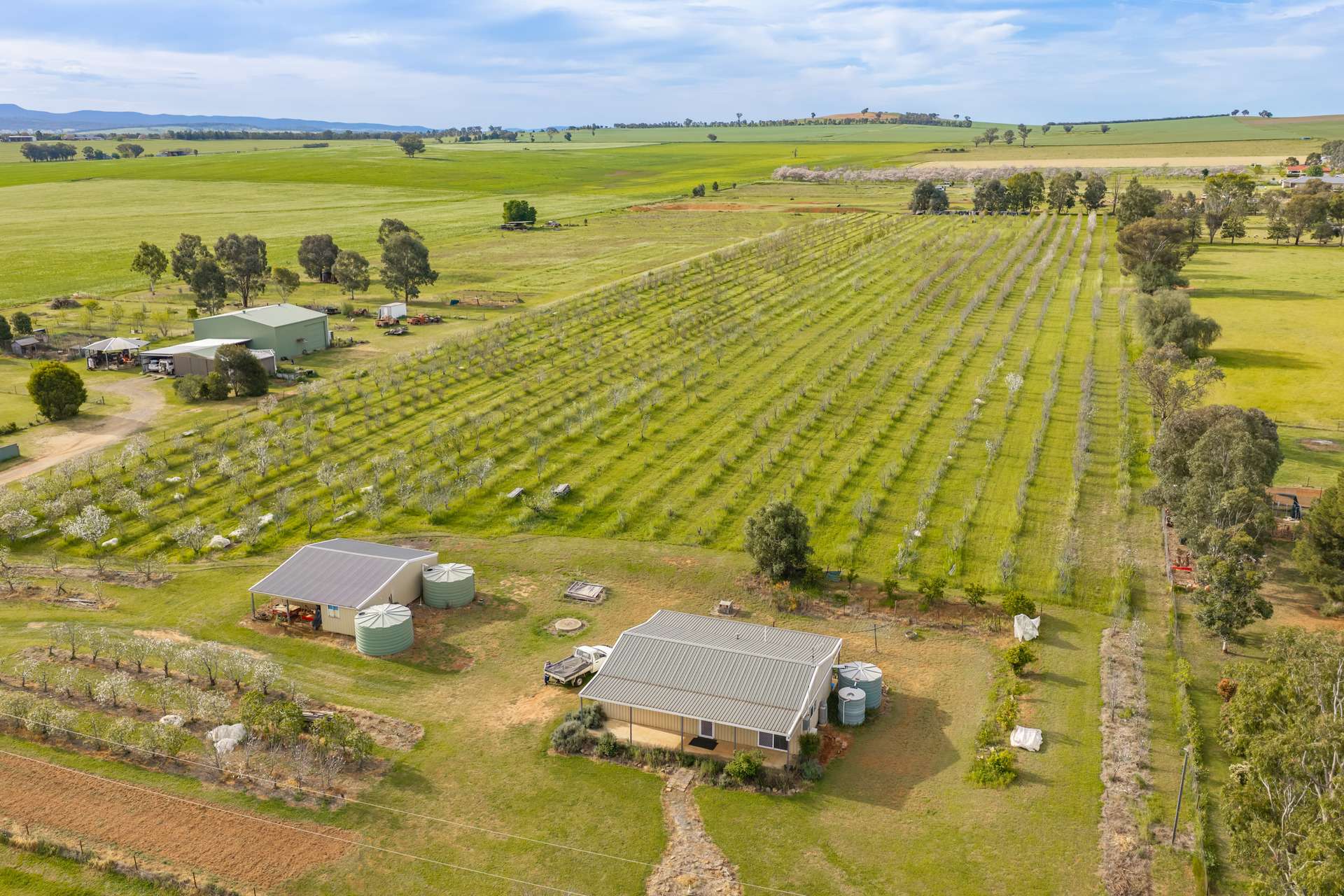 58 Longs Corner Road, Canowindra For Sale by Farmbuy.com - image 14