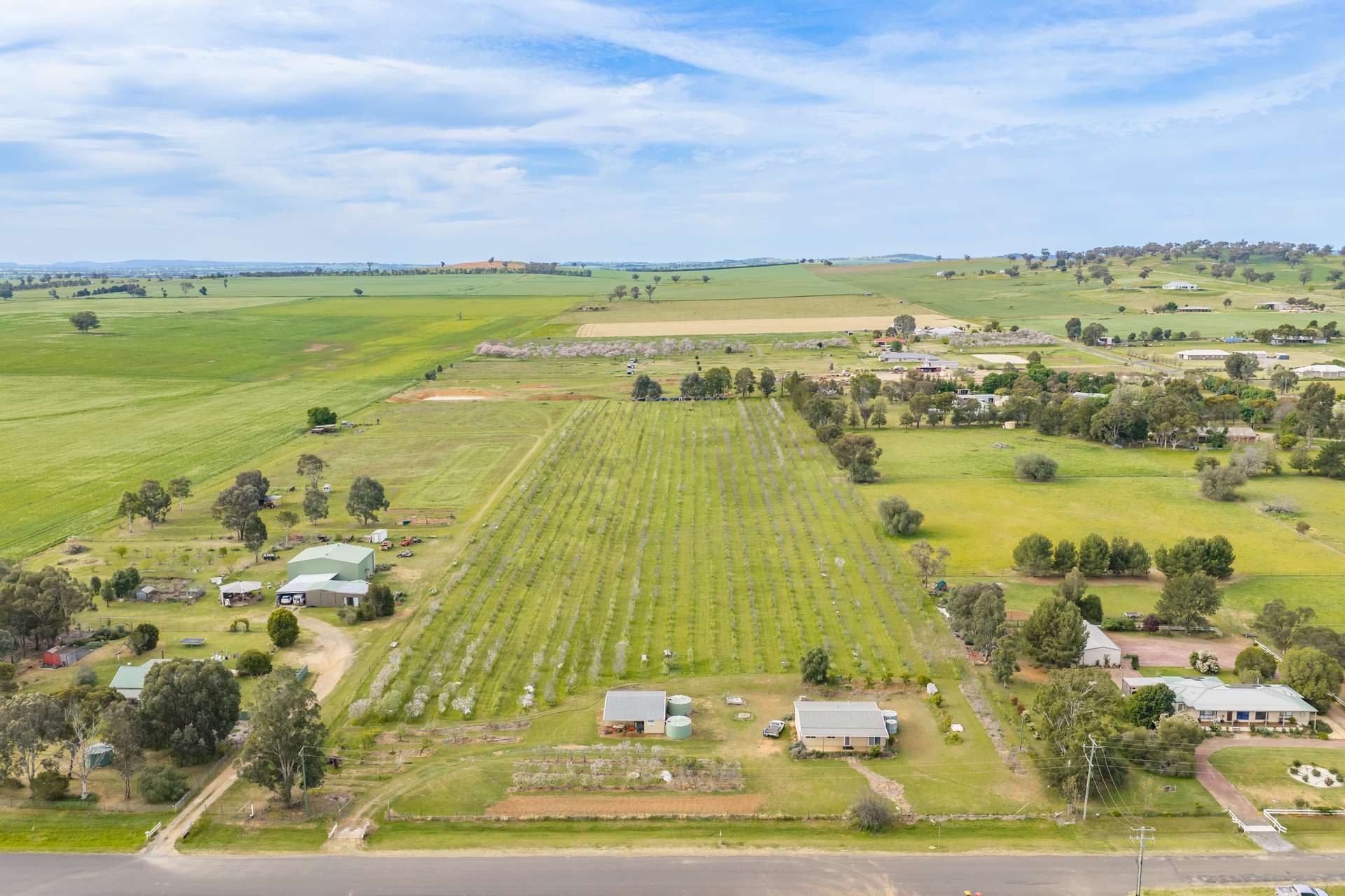 58 Longs Corner Road, Canowindra For Sale by Farmbuy.com - image 20