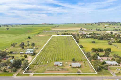 Farm For Sale - NSW - Canowindra - 2804 - Established cherry tree orchard & family home set on 10acres! 