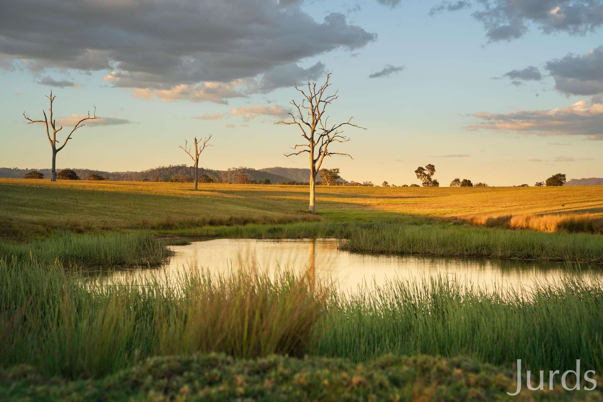 617 Dalwood Road, Dalwood For Sale by Farmbuy.com - image 2