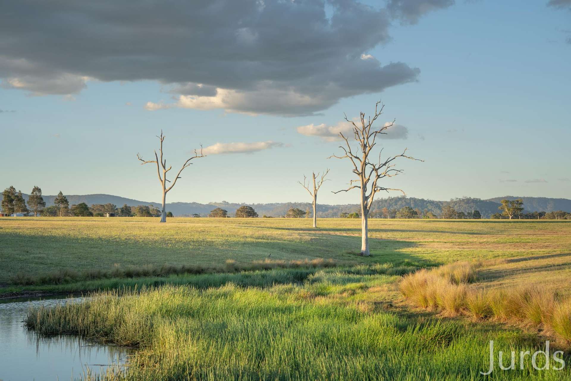 617 Dalwood Road, Dalwood For Sale by Farmbuy.com - image 28