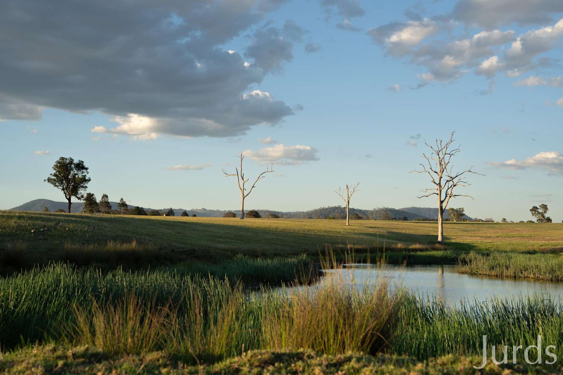 617 Dalwood Road, Dalwood For Sale by Farmbuy.com - image 27
