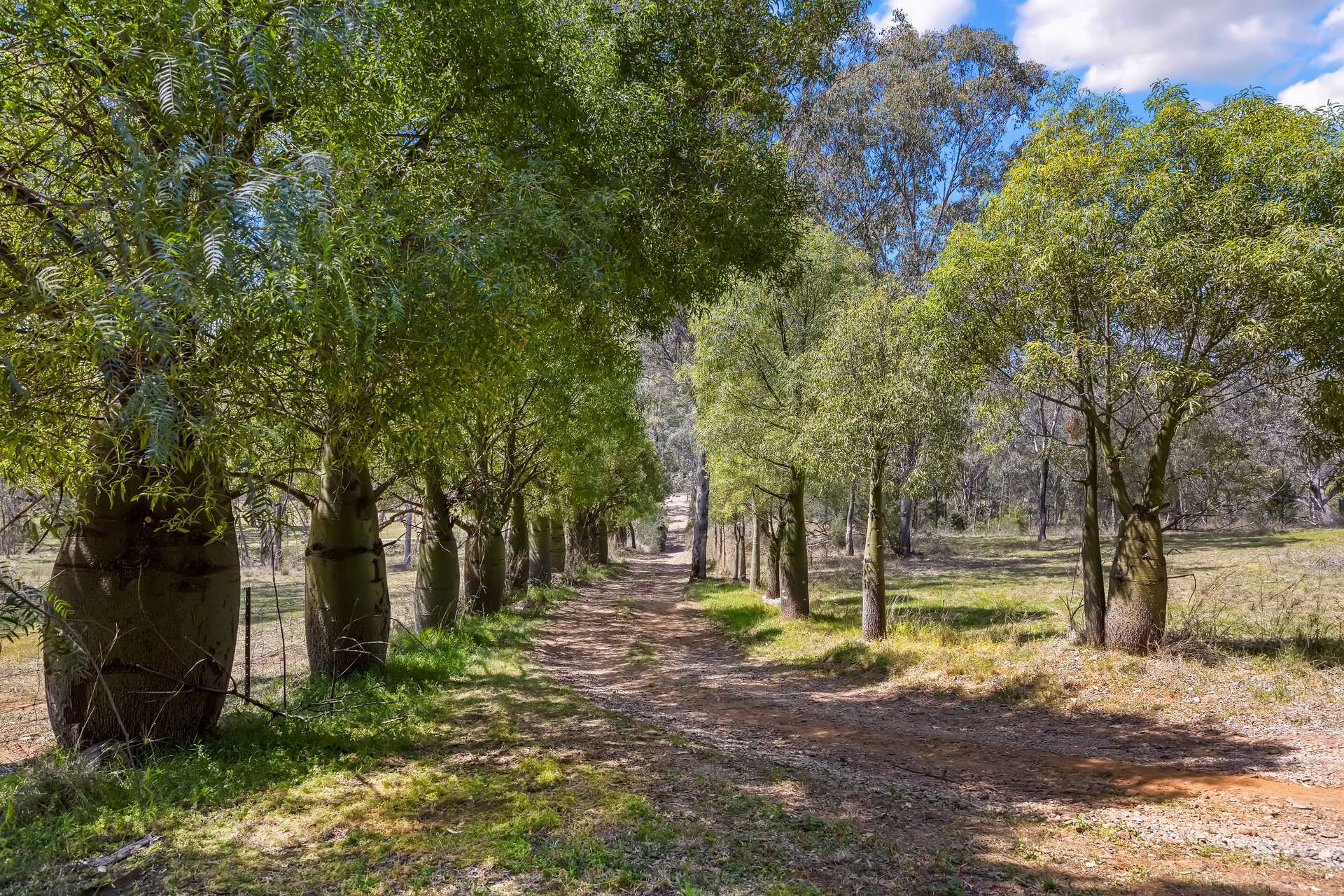 601 Daruka Road, Tamworth For Sale by Farmbuy.com - image 2