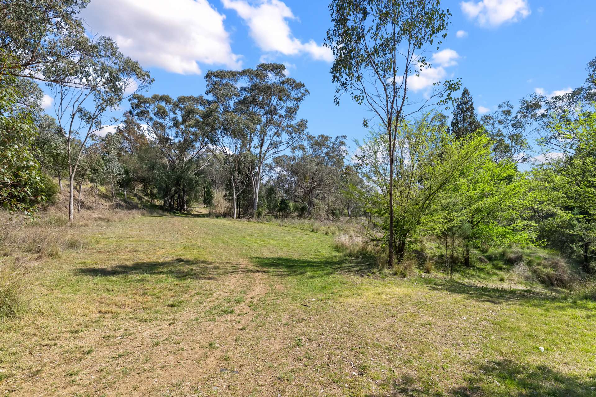 601 Daruka Road, Tamworth For Sale by Farmbuy.com - image 16