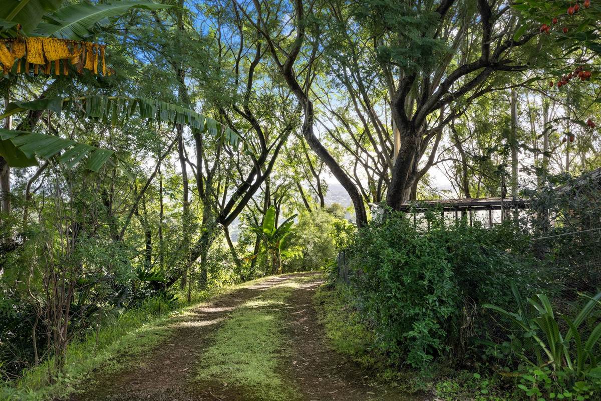 13 Warrazambil Street, Kyogle For Sale by Farmbuy.com - image 19