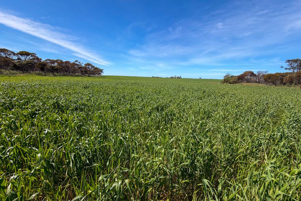 Lot 44 Birdseye Highway, Murlong SA 5642