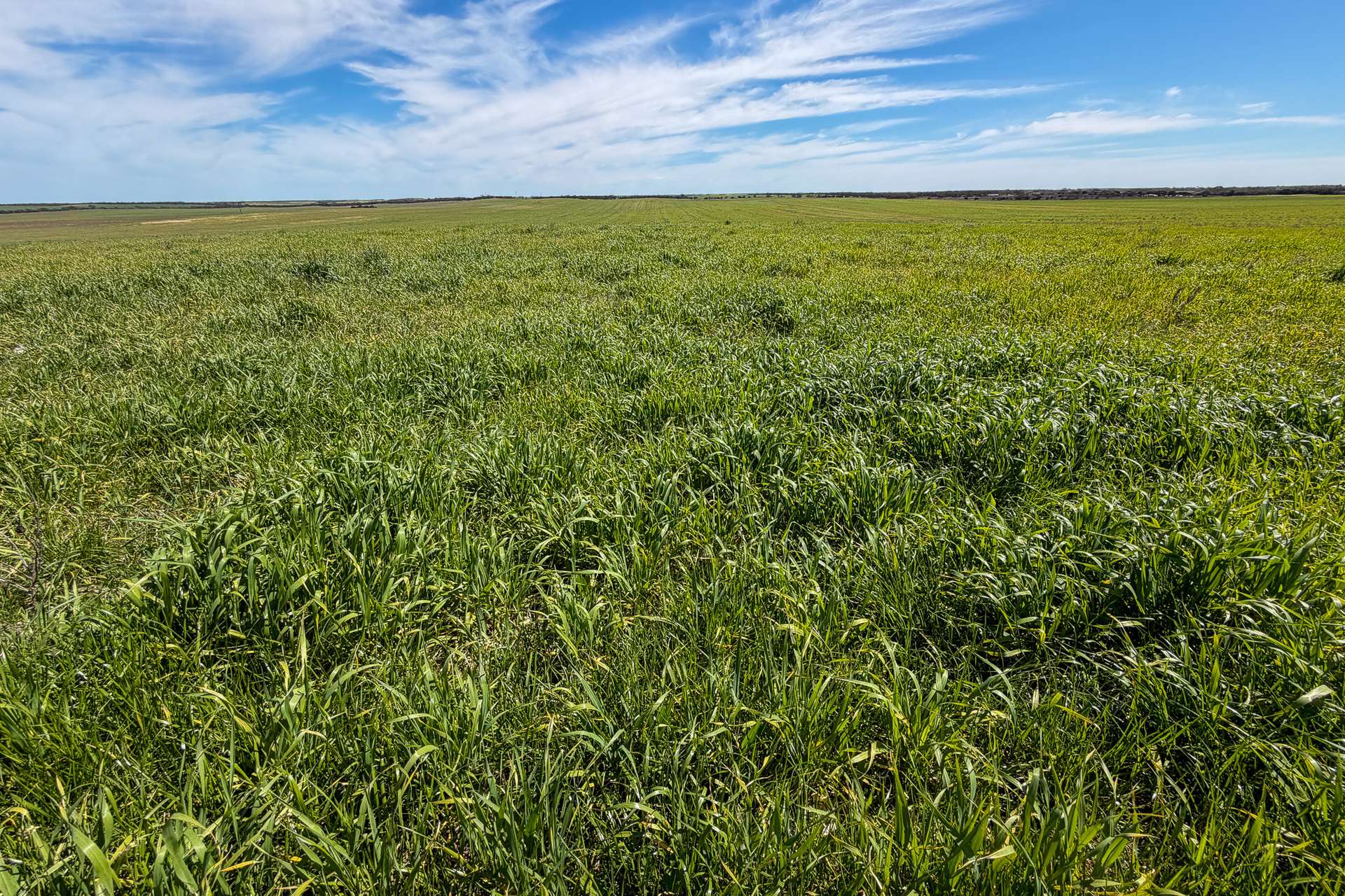 Lot 44 Birdseye Highway, Murlong For Sale by Farmbuy.com - image 12