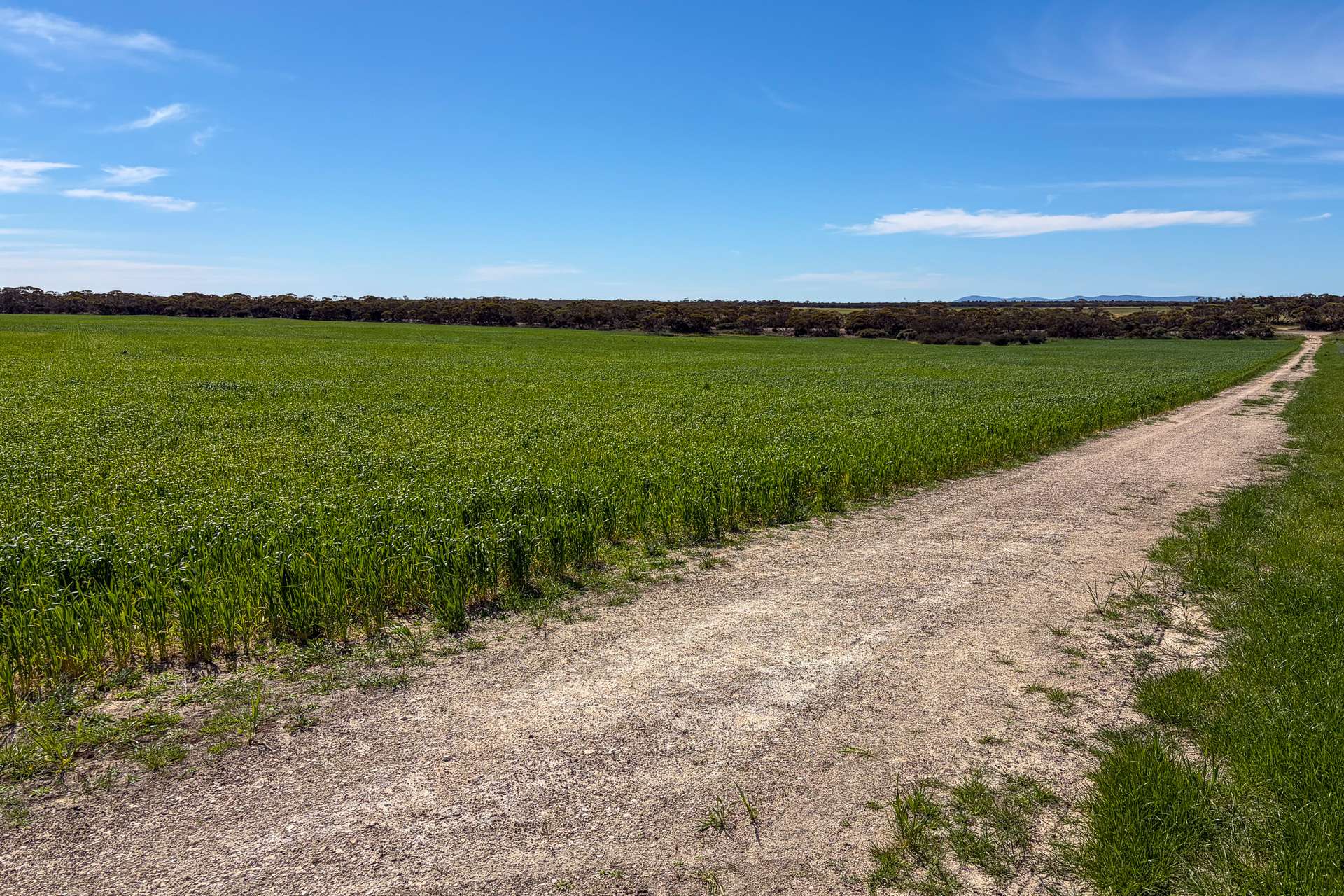 Lot 44 Birdseye Highway, Murlong For Sale by Farmbuy.com - image 11