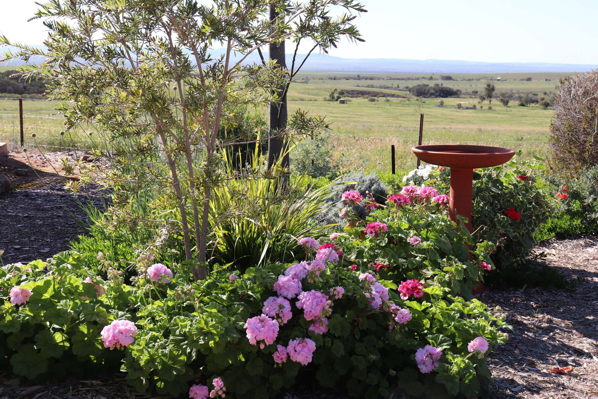 373 Old Gunyah Road, Quorn For Sale by Farmbuy.com - image 26