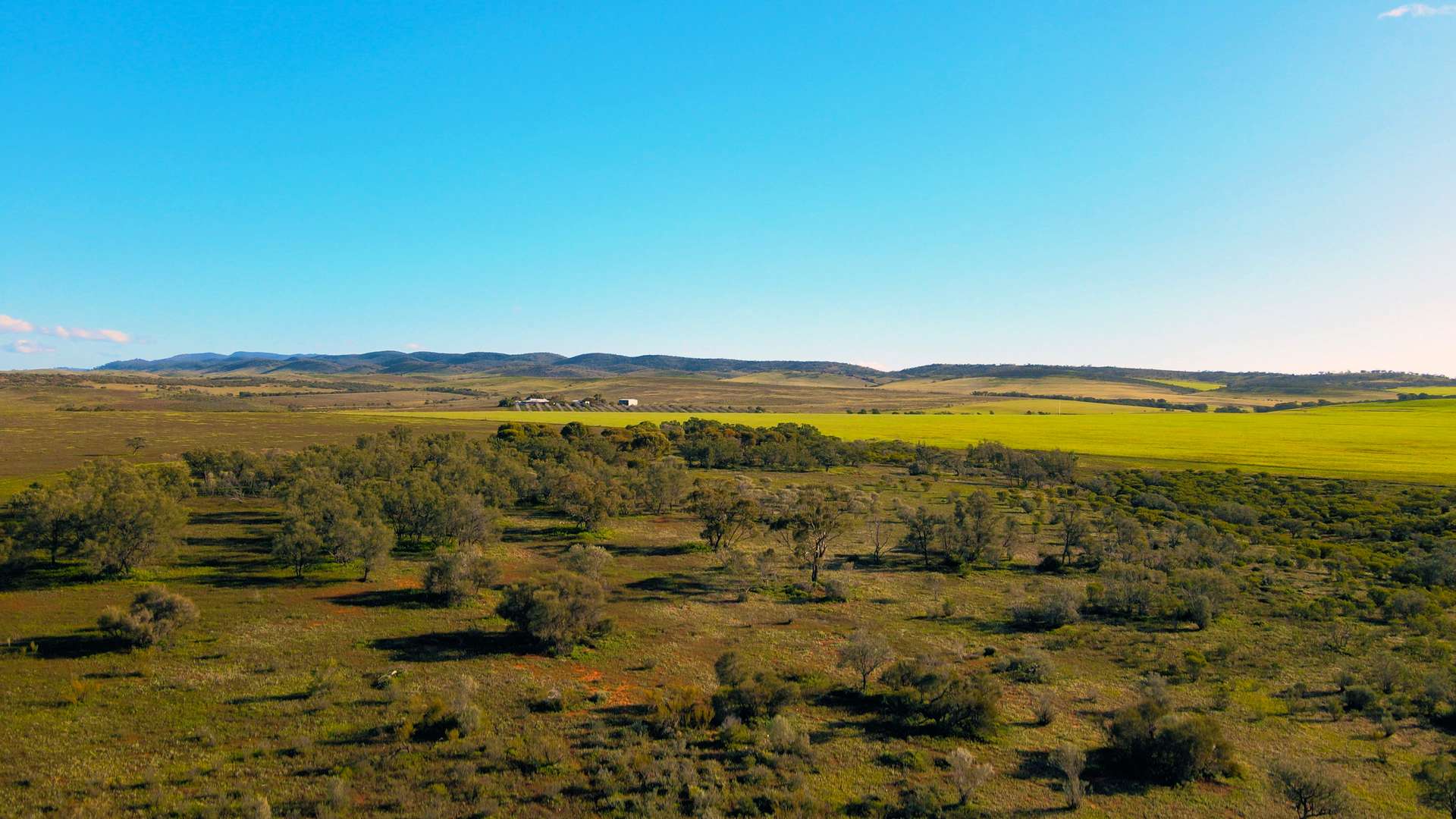 373 Old Gunyah Road, Quorn For Sale by Farmbuy.com - image 31