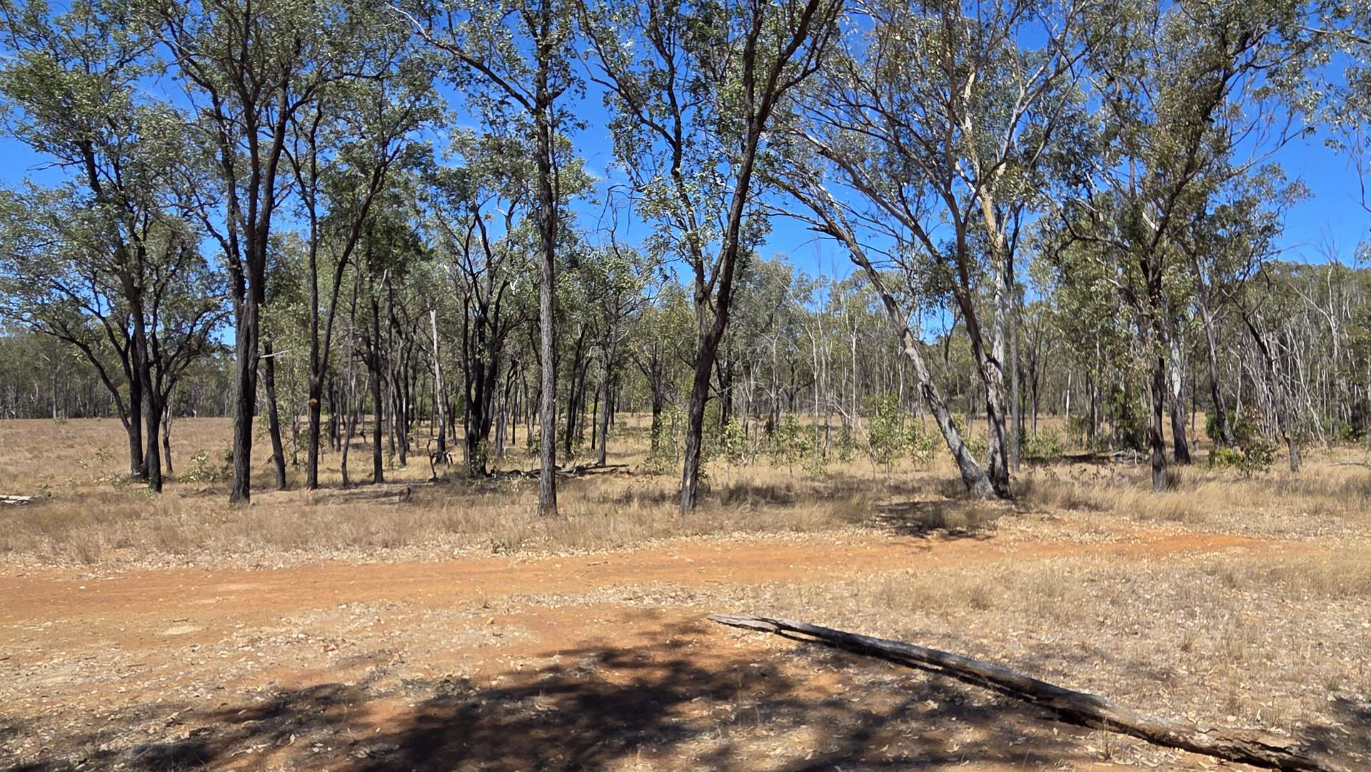 Lot 14 & Lot 9 Mundubbera Durong Road, Brovinia Sold by Farmbuy.com - image 5