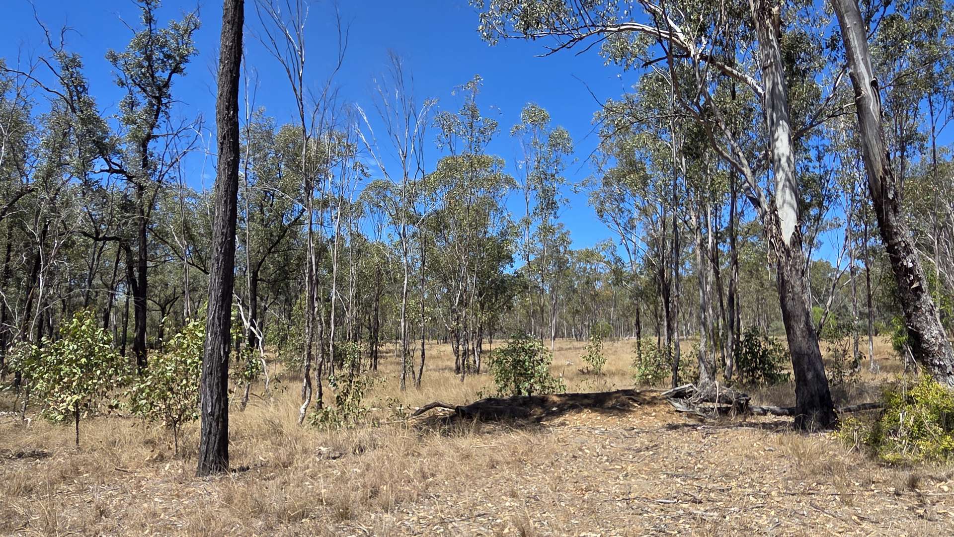 Lot 14 & Lot 9 Mundubbera Durong Road, Brovinia Sold by Farmbuy.com - image 6