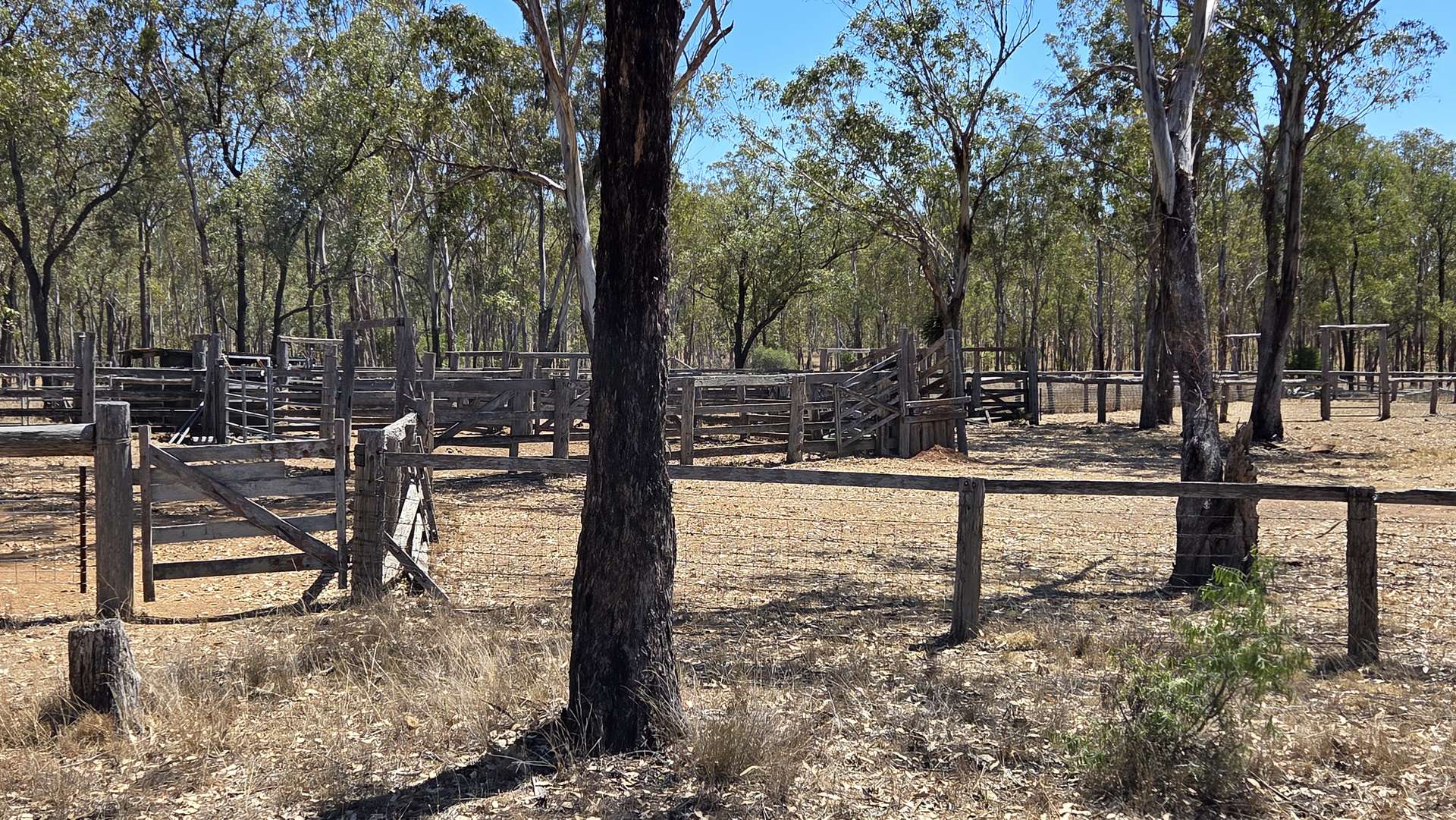 Lot 14 & Lot 9 Mundubbera Durong Road, Brovinia Sold by Farmbuy.com - image 1
