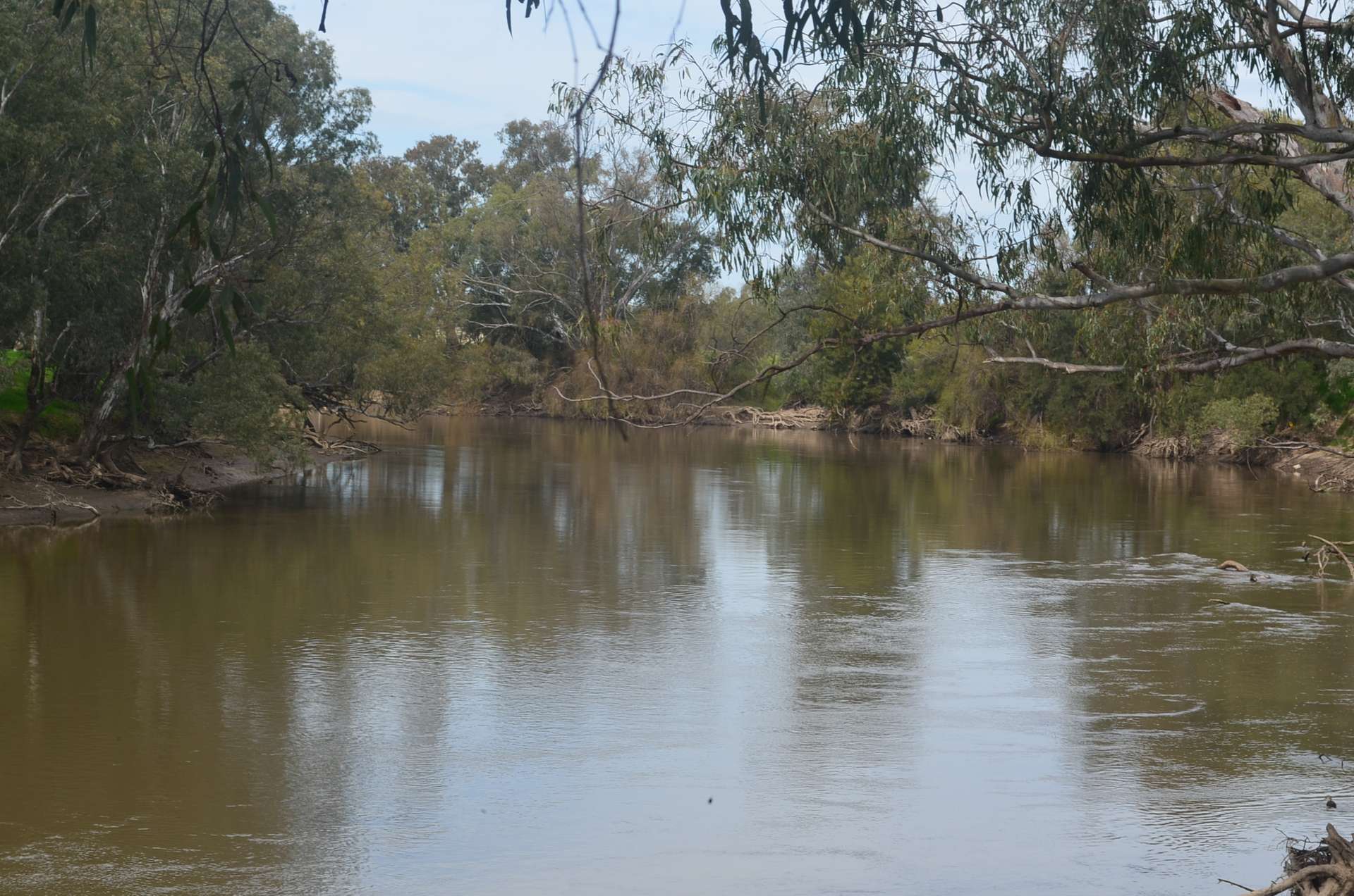 'AYTON VALE' 23 Scott Street, Wagga Wagga For Sale by Farmbuy.com - image 16