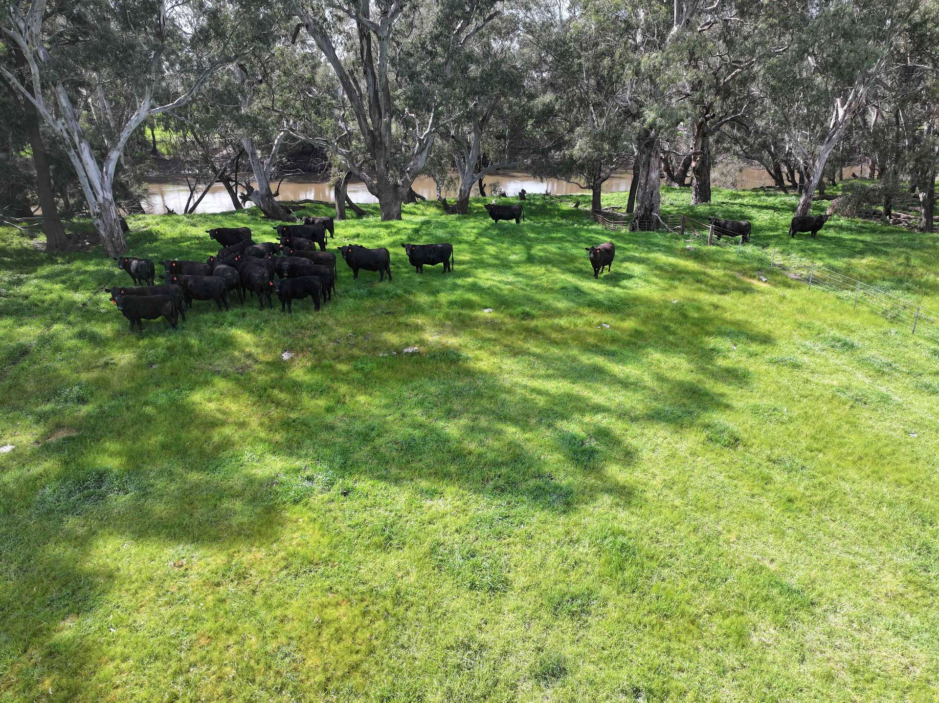 'AYTON VALE' 23 Scott Street, Wagga Wagga For Sale by Farmbuy.com - image 7