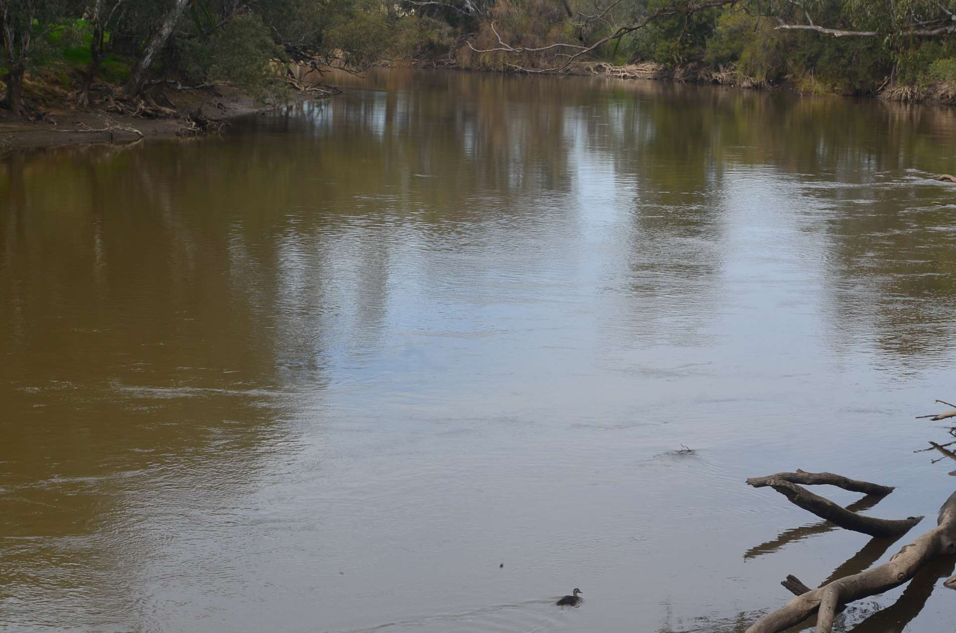 'AYTON VALE' 23 Scott Street, Wagga Wagga For Sale by Farmbuy.com - image 14