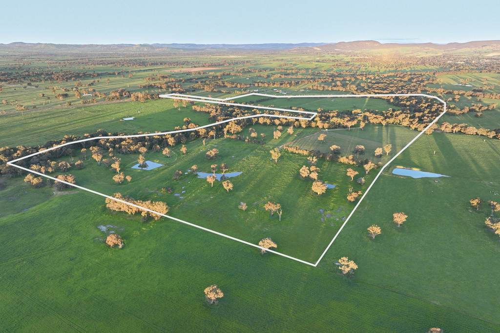 547 Culcairn Holbrook Road, Holbrook NSW 2644