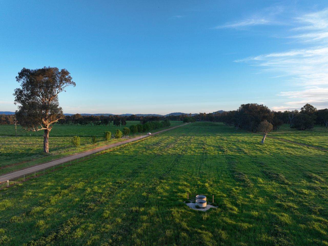 547 Culcairn Holbrook Road, Holbrook For Sale by Farmbuy.com - image 4
