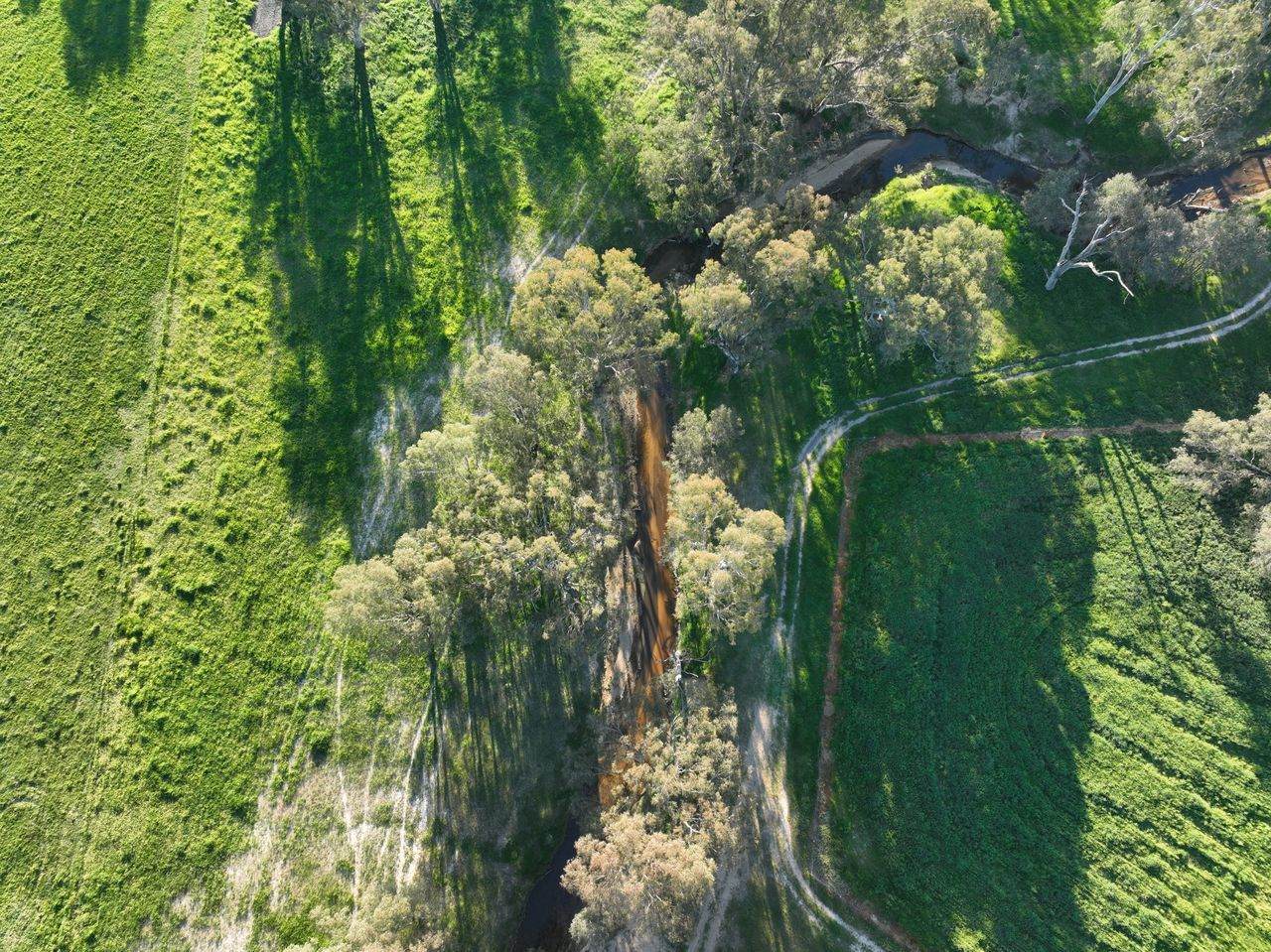 547 Culcairn Holbrook Road, Holbrook For Sale by Farmbuy.com - image 31
