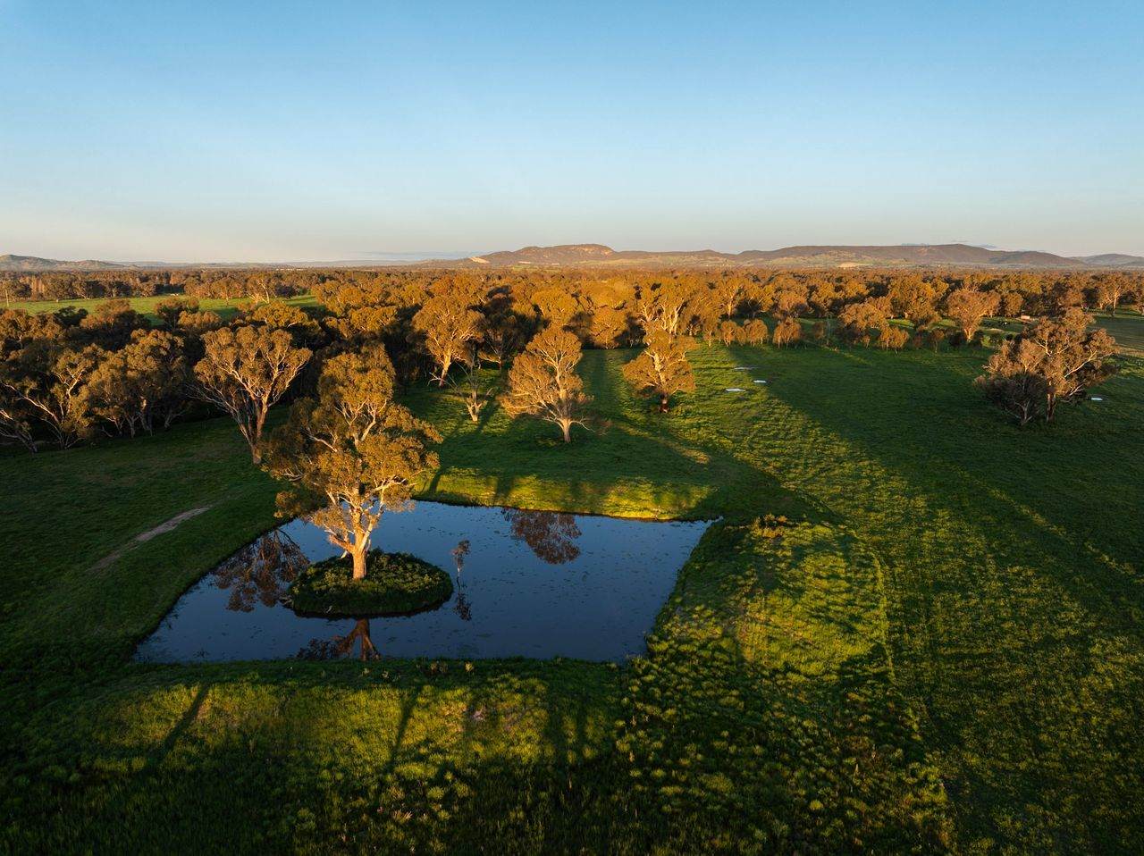 547 Culcairn Holbrook Road, Holbrook For Sale by Farmbuy.com - image 29