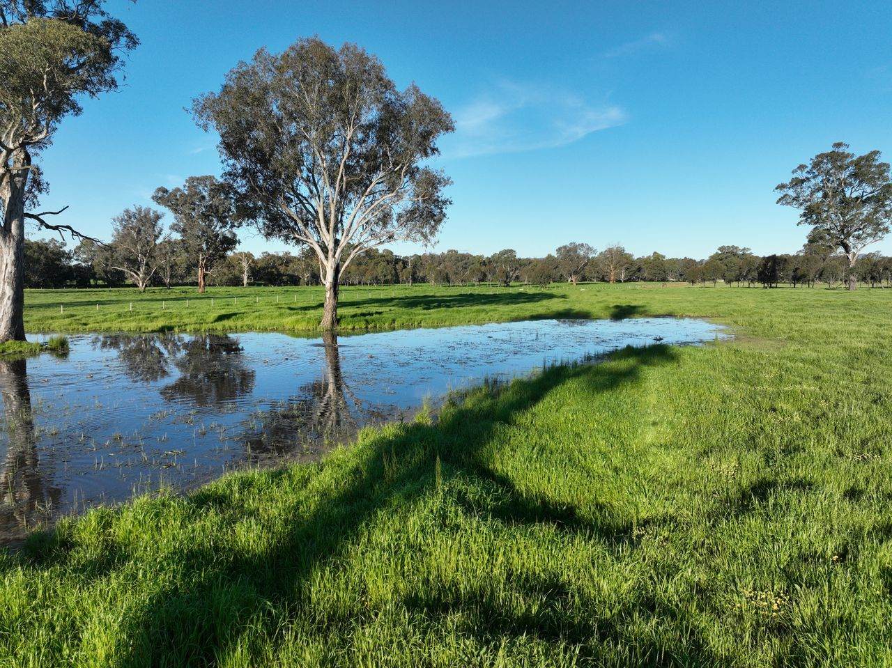 547 Culcairn Holbrook Road, Holbrook For Sale by Farmbuy.com - image 21