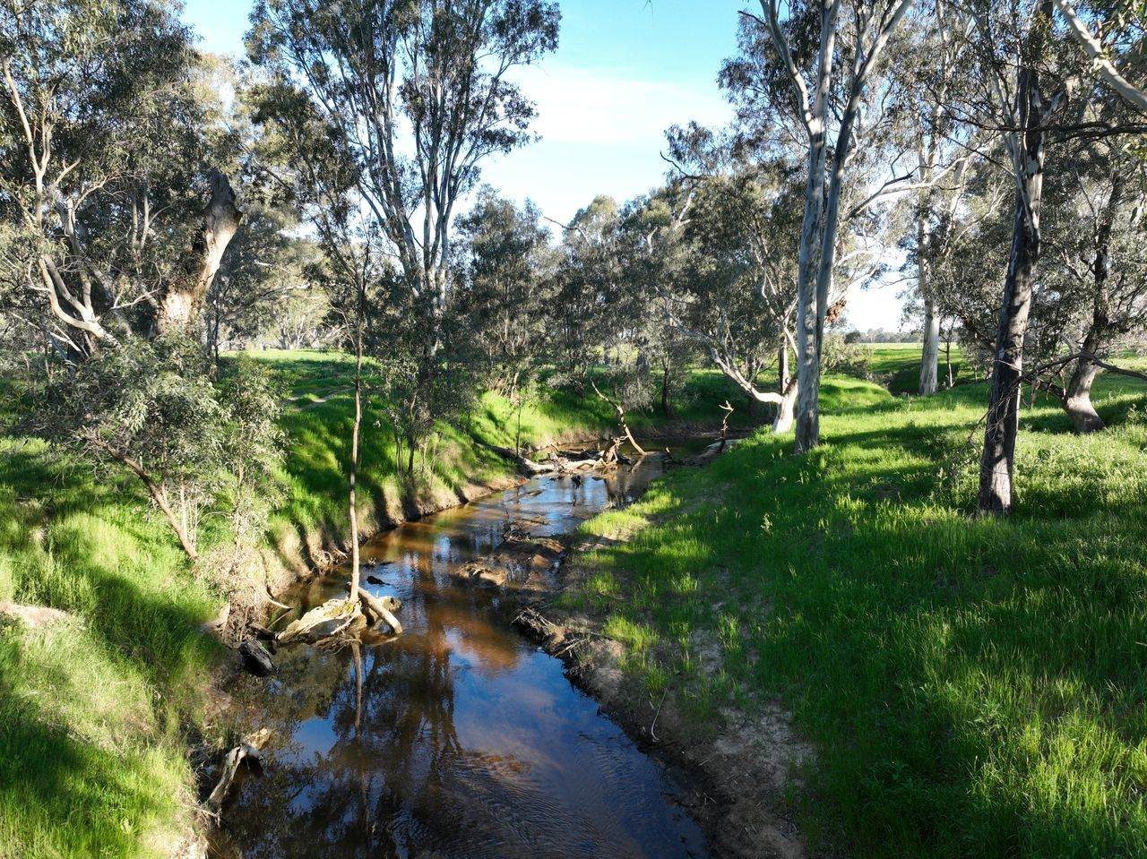 547 Culcairn Holbrook Road, Holbrook For Sale by Farmbuy.com - image 20