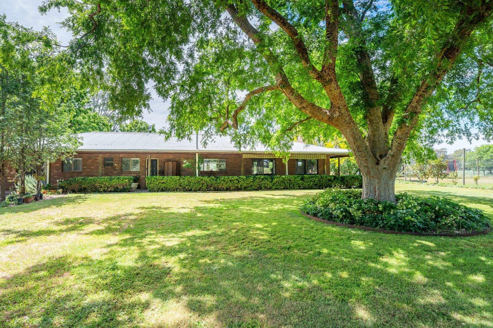 547 Culcairn Holbrook Road, Holbrook For Sale by Farmbuy.com - image 15