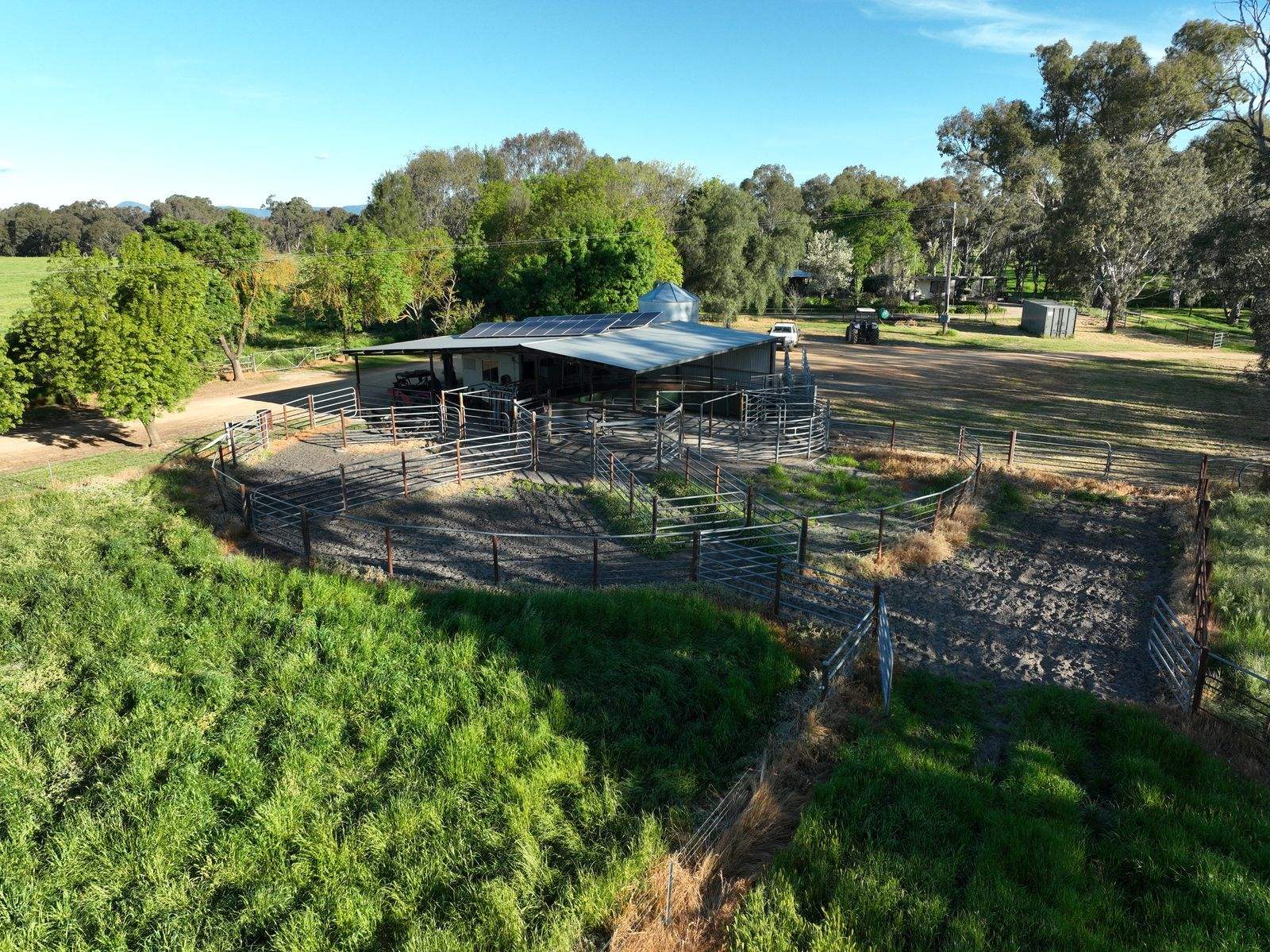 547 Culcairn Holbrook Road, Holbrook For Sale by Farmbuy.com - image 22