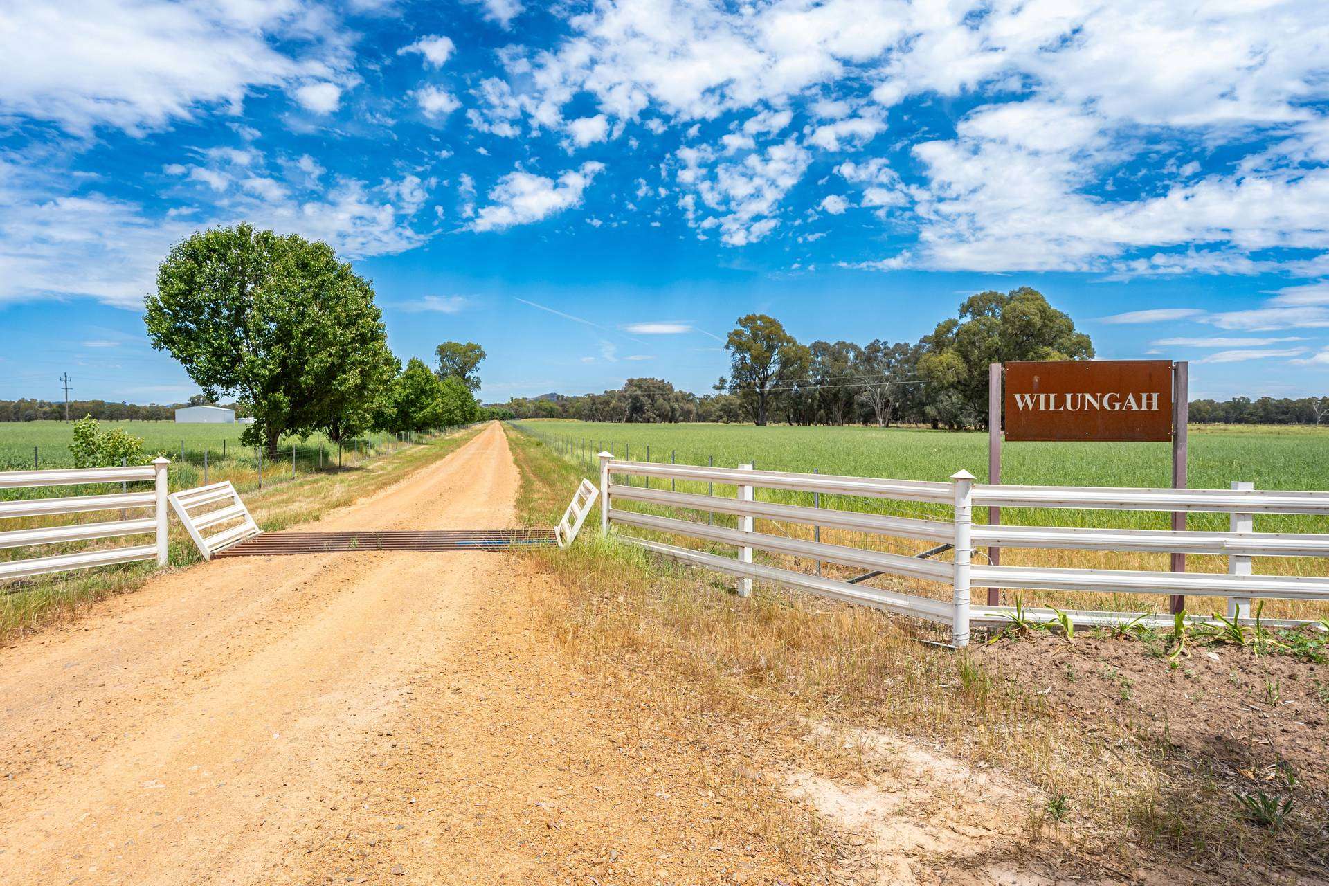 547 Culcairn Holbrook Road, Holbrook For Sale by Farmbuy.com - image 3