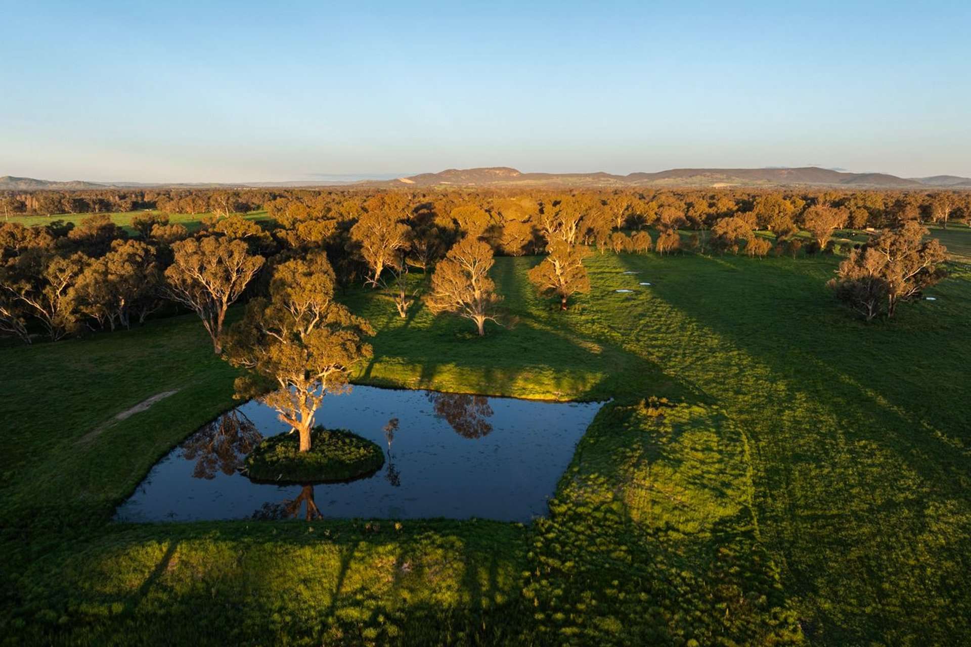 547 Culcairn Holbrook Road, Holbrook For Sale by Farmbuy.com - image 29