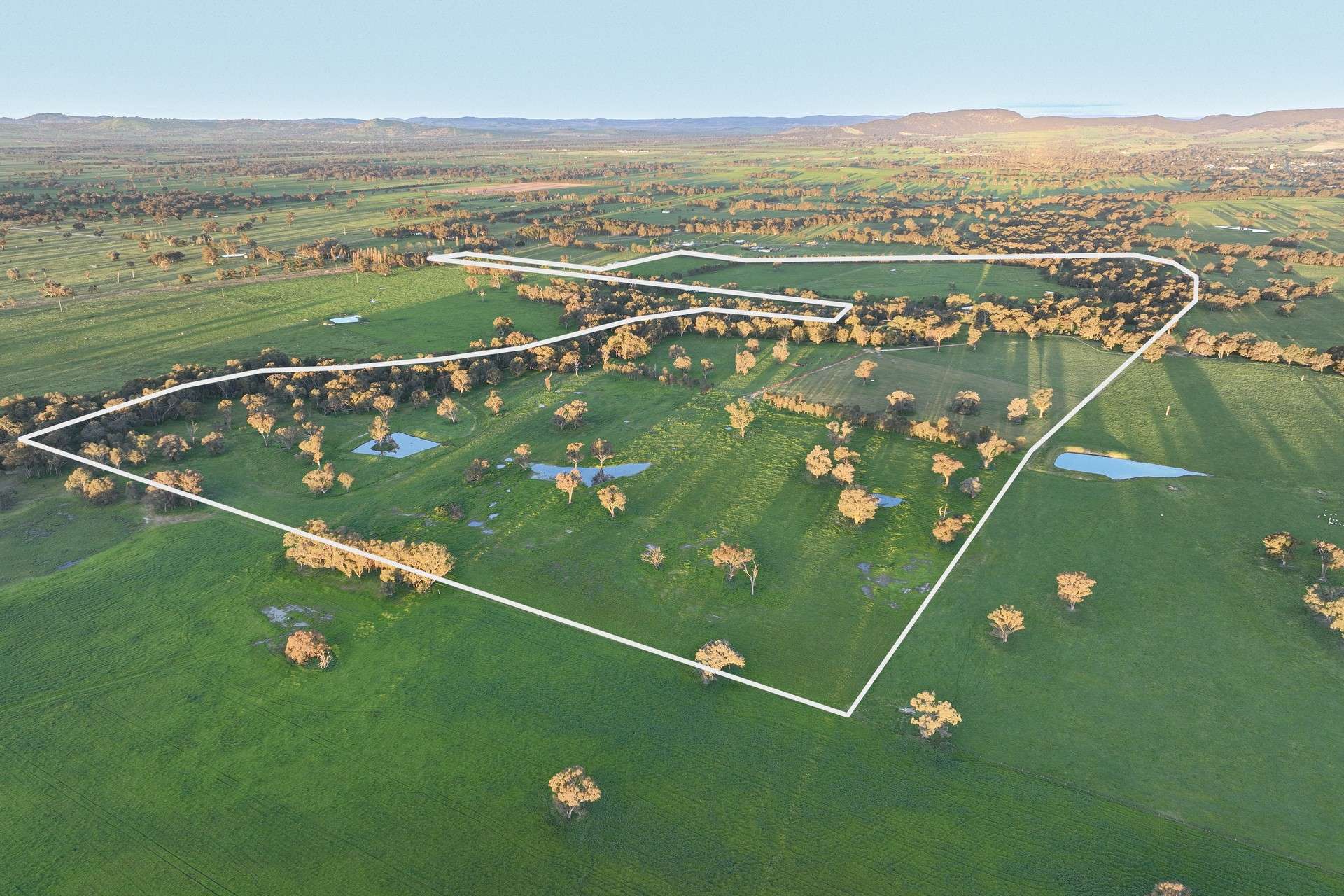 547 Culcairn Holbrook Road, Holbrook For Sale by Farmbuy.com - image 1