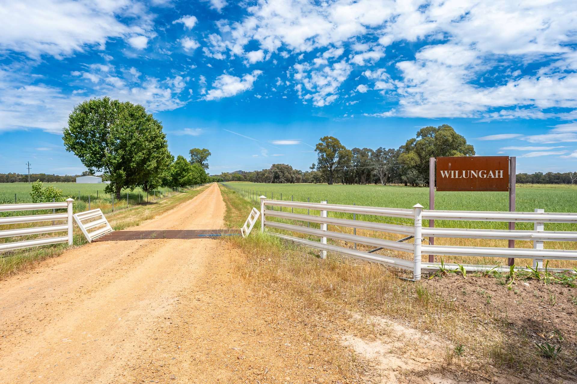 547 Culcairn Holbrook Road, Holbrook For Sale by Farmbuy.com - image 3