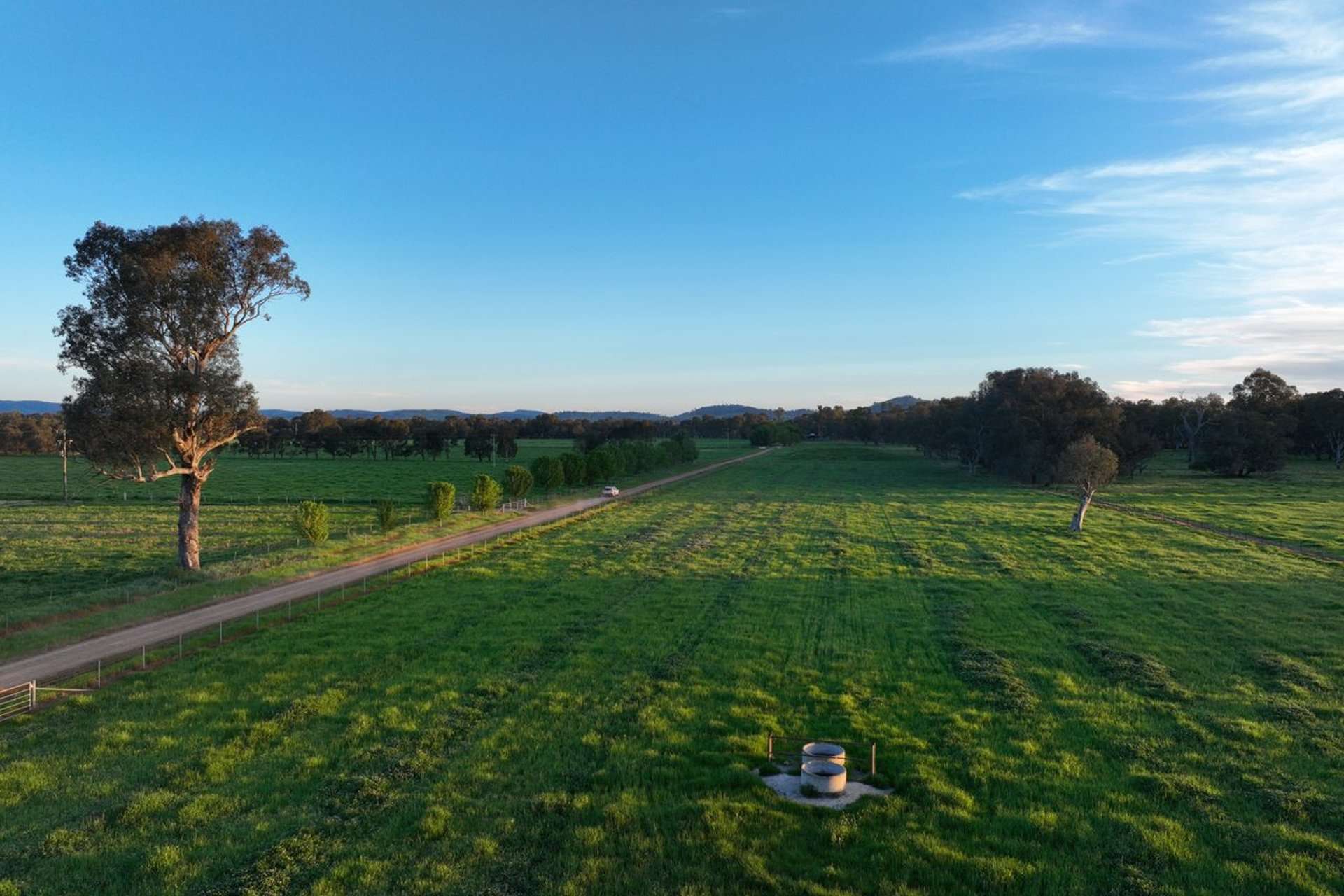 547 Culcairn Holbrook Road, Holbrook For Sale by Farmbuy.com - image 4