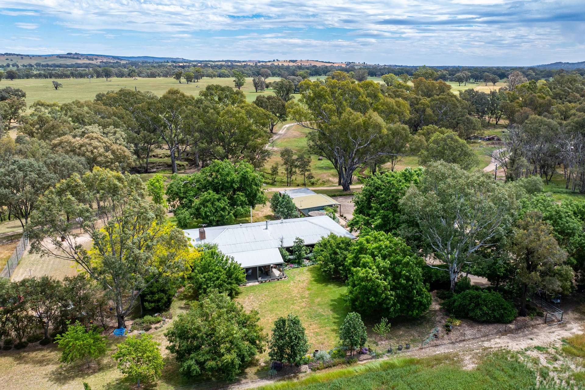 547 Culcairn Holbrook Road, Holbrook For Sale by Farmbuy.com - image 2