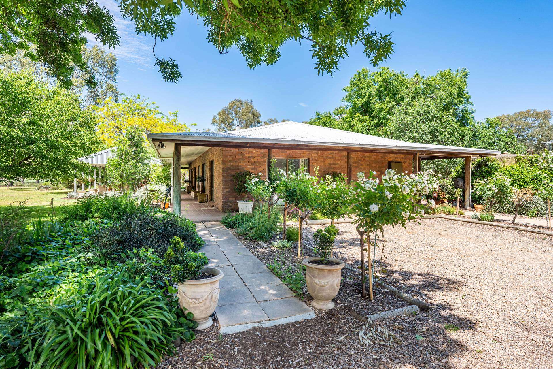 547 Culcairn Holbrook Road, Holbrook For Sale by Farmbuy.com - image 6