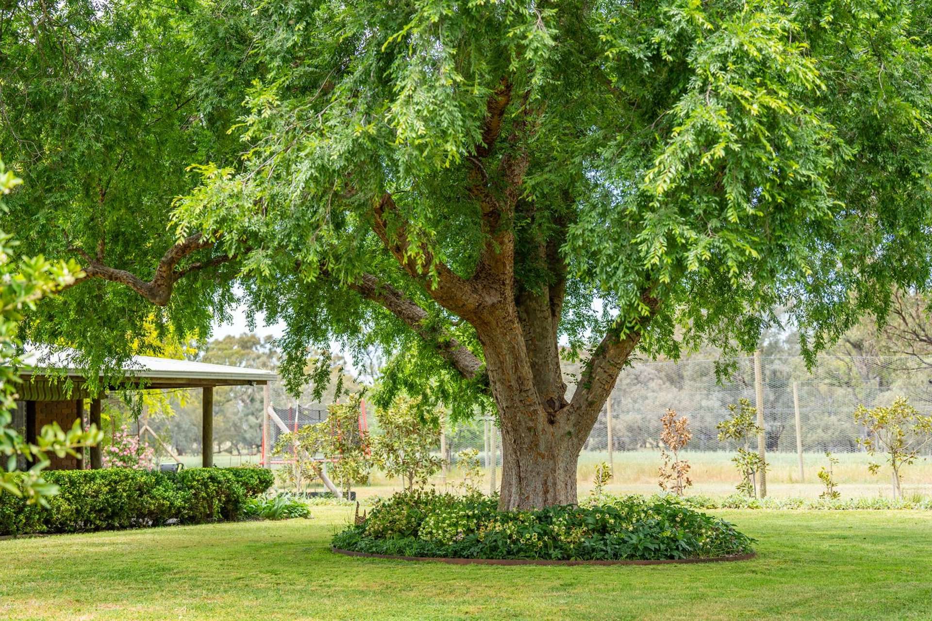 547 Culcairn Holbrook Road, Holbrook For Sale by Farmbuy.com - image 16