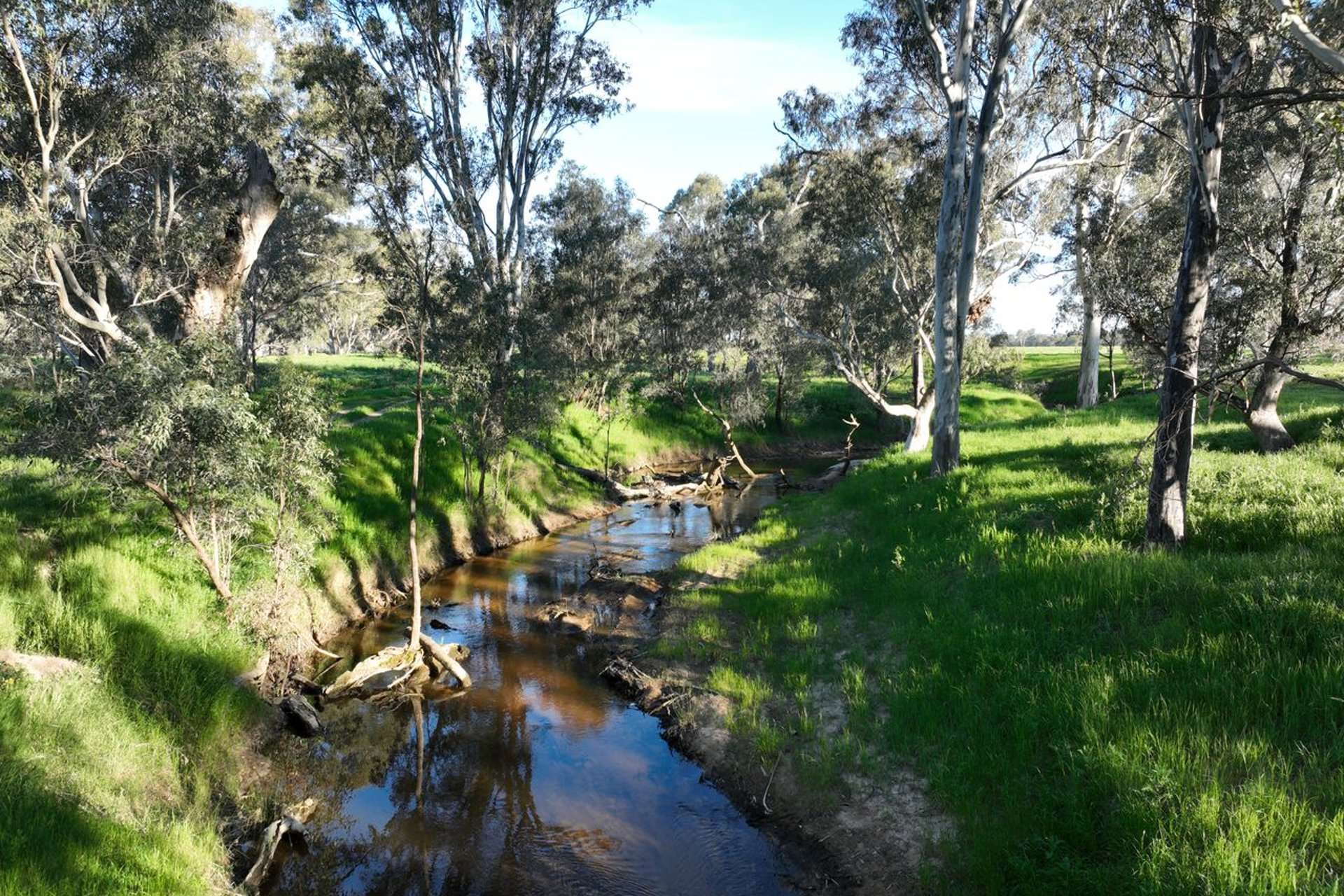 547 Culcairn Holbrook Road, Holbrook For Sale by Farmbuy.com - image 20