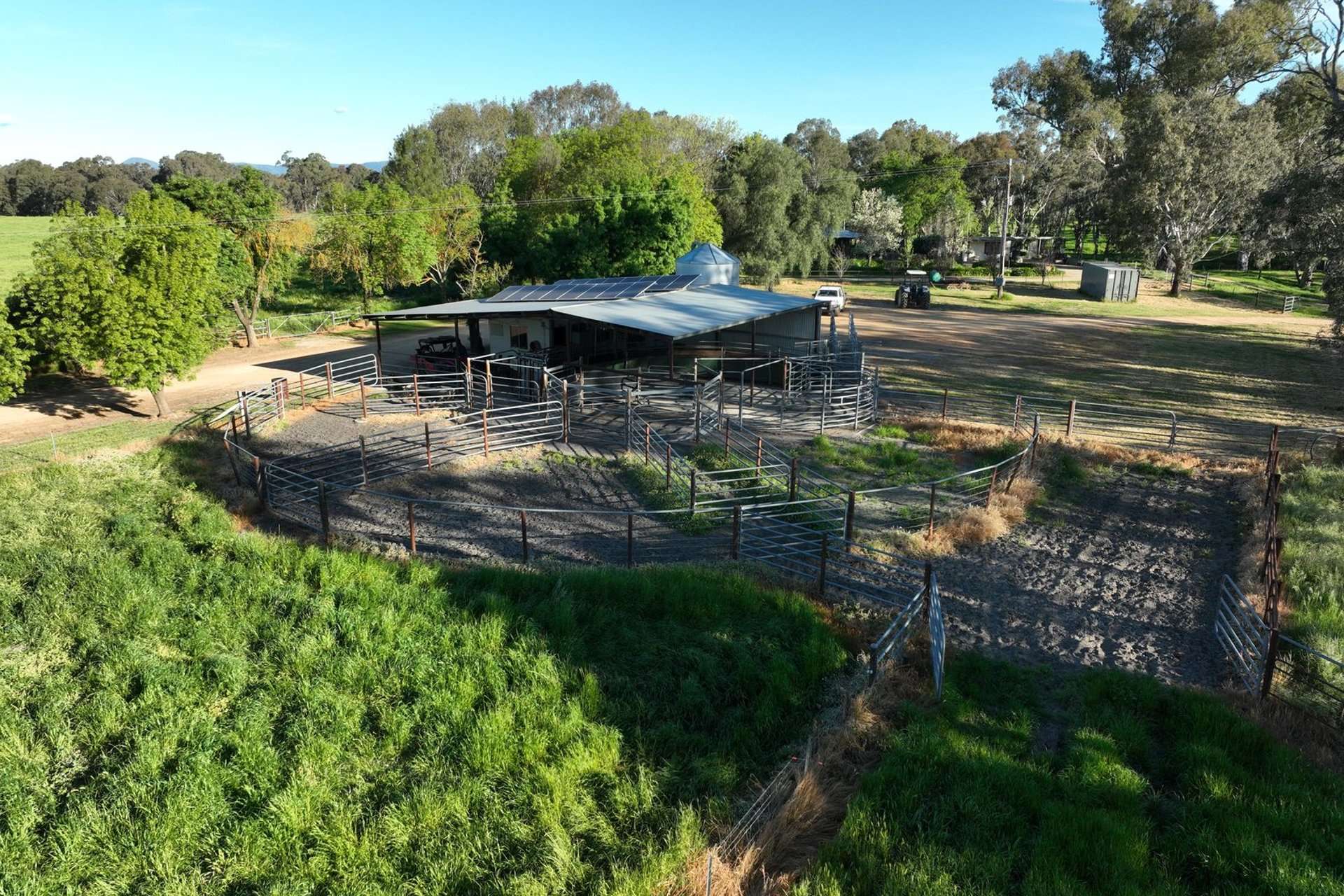 547 Culcairn Holbrook Road, Holbrook For Sale by Farmbuy.com - image 22