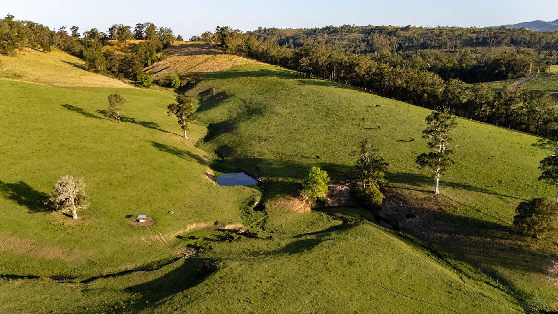 226 Turnback Road, Wherrol Flat Auction by Farmbuy.com - image 21