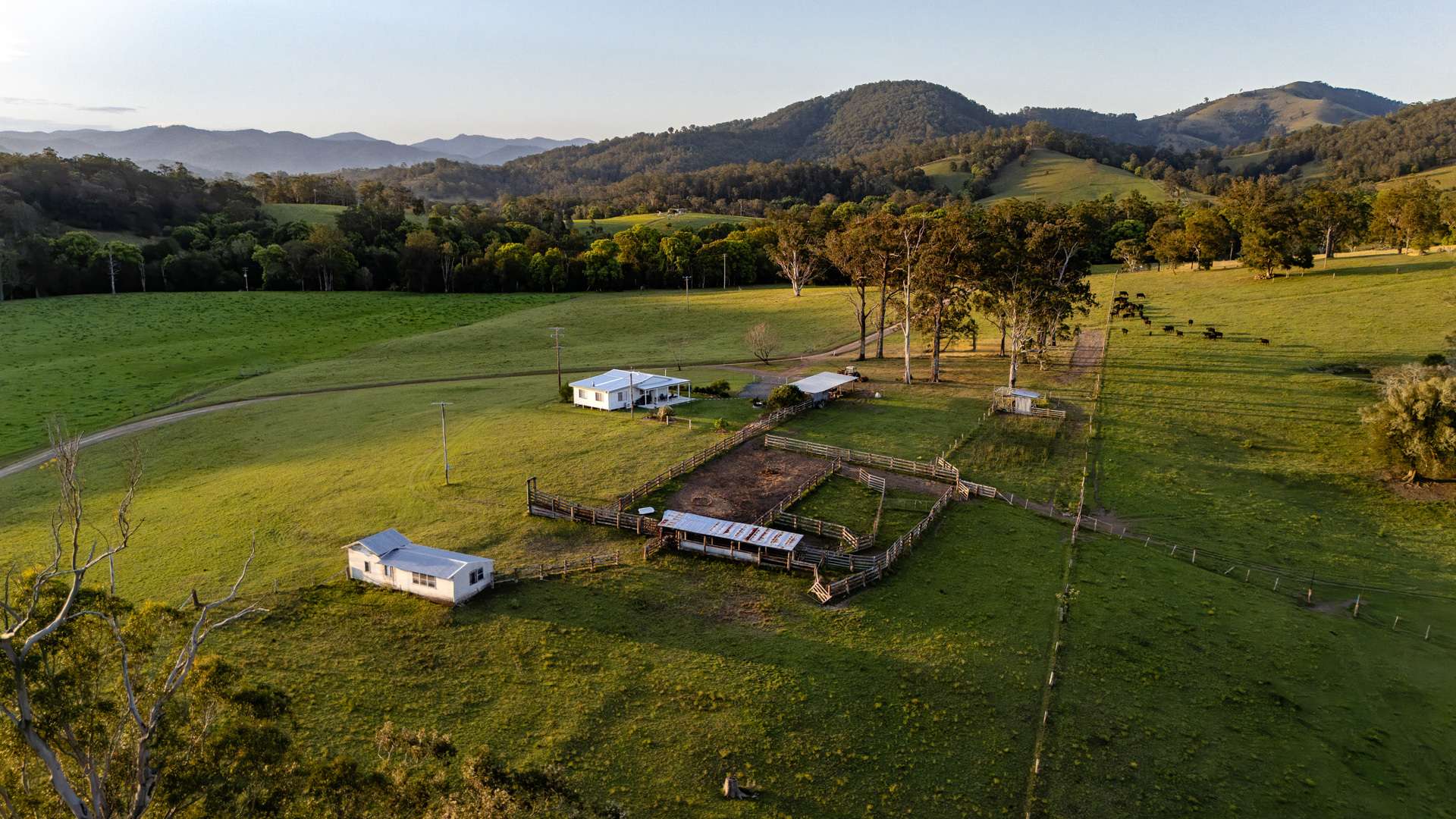226 Turnback Road, Wherrol Flat Auction by Farmbuy.com - image 2