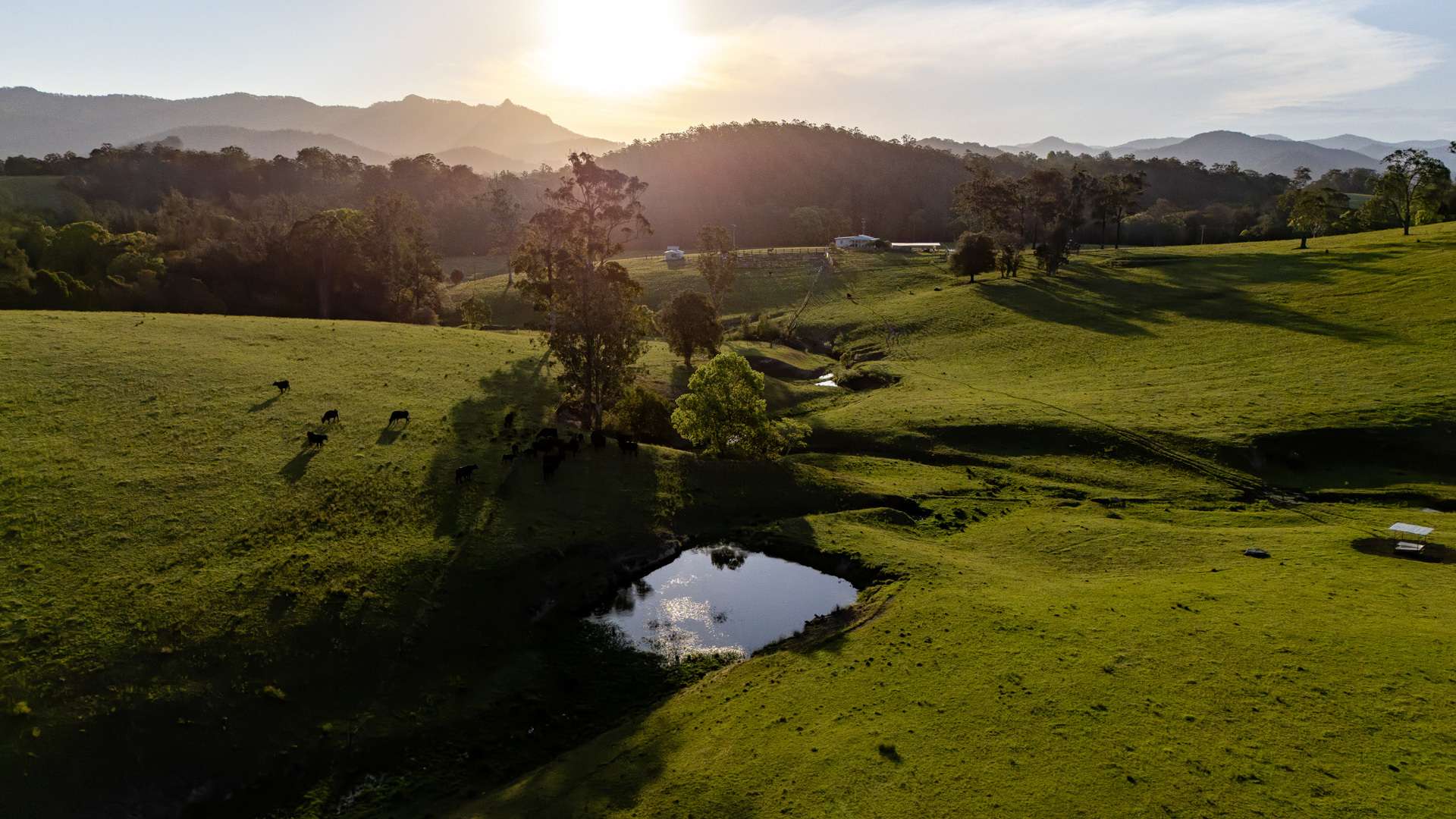 226 Turnback Road, Wherrol Flat Auction by Farmbuy.com - image 25
