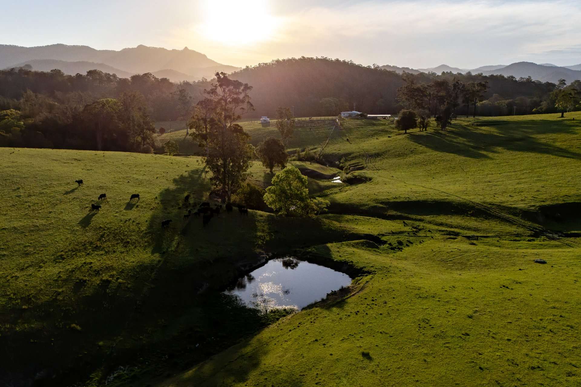 226 Turnback Road, Wherrol Flat Auction by Farmbuy.com - image 25
