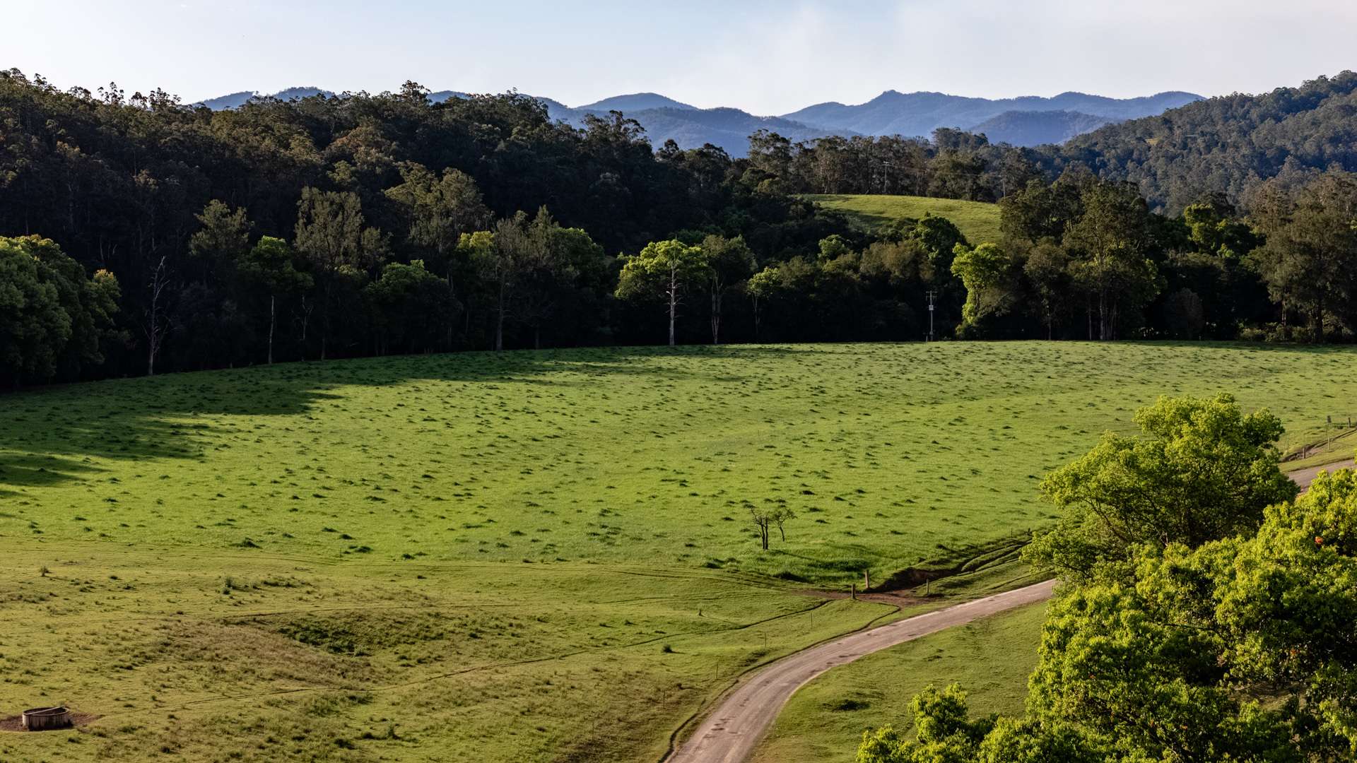 226 Turnback Road, Wherrol Flat Auction by Farmbuy.com - image 18