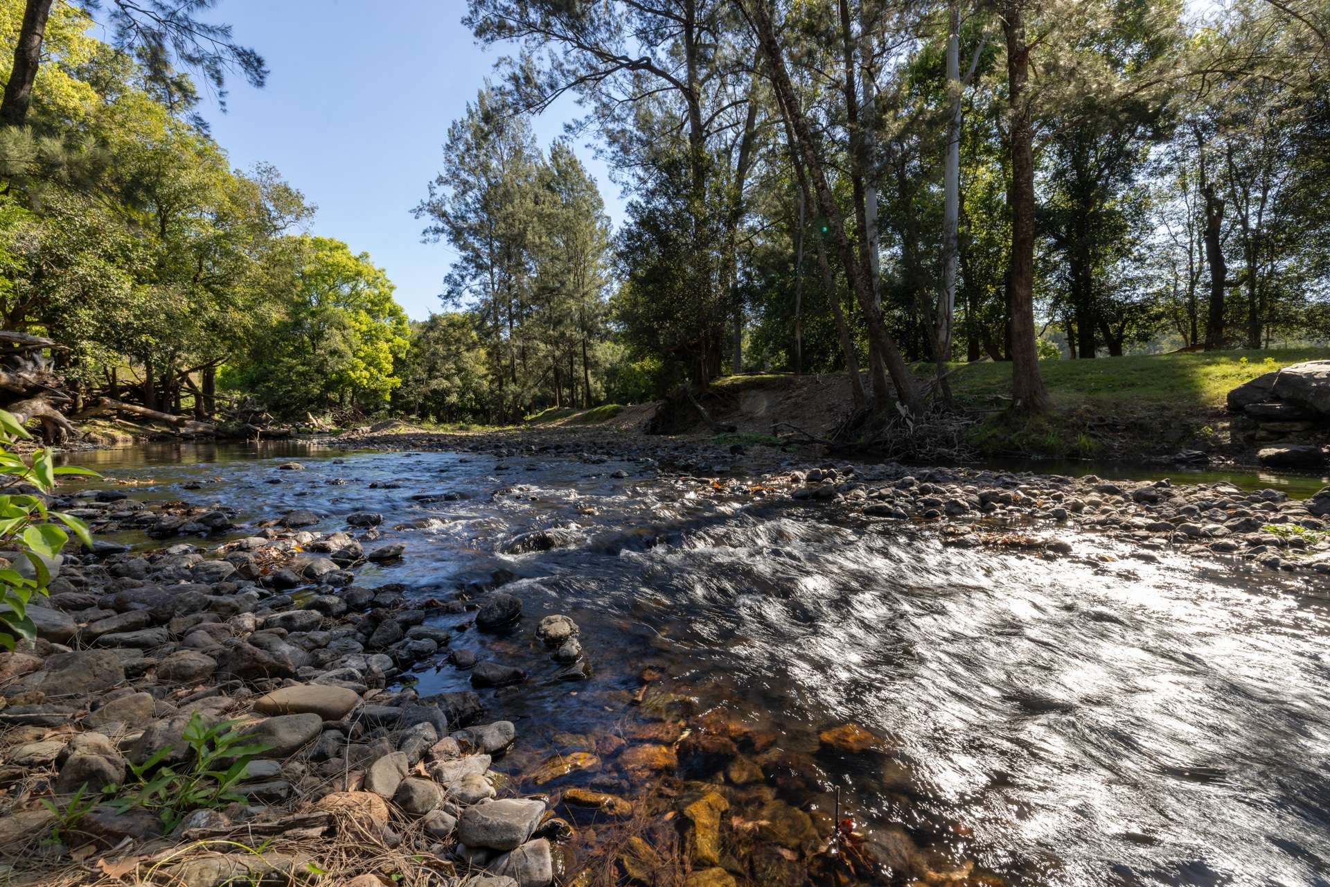 226 Turnback Road, Wherrol Flat Auction by Farmbuy.com - image 4
