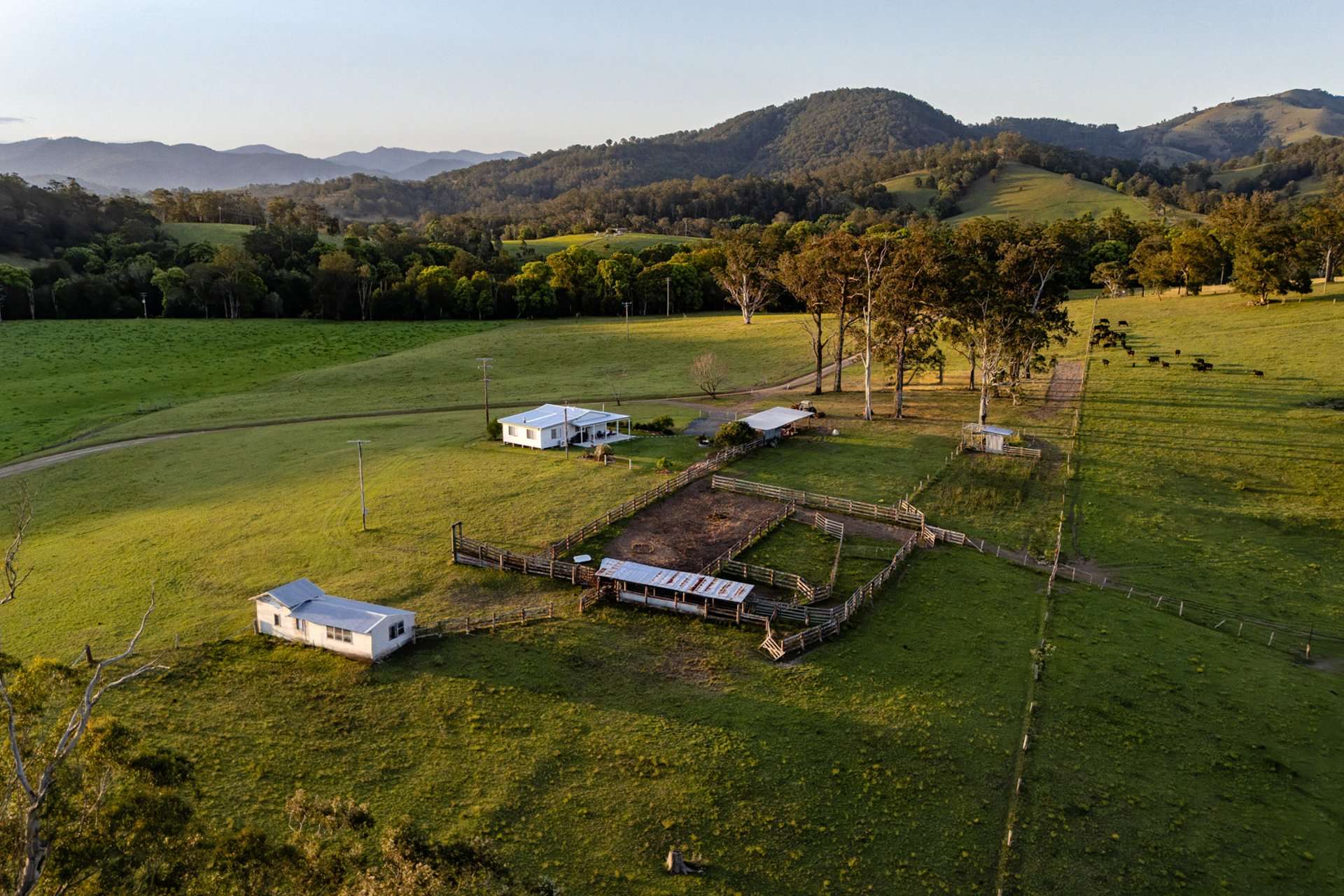 226 Turnback Road, Wherrol Flat Auction by Farmbuy.com - image 2