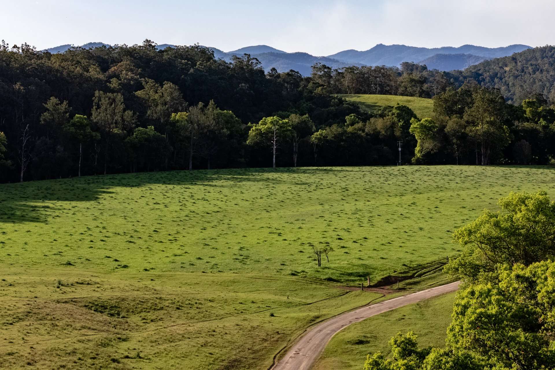 226 Turnback Road, Wherrol Flat Auction by Farmbuy.com - image 18
