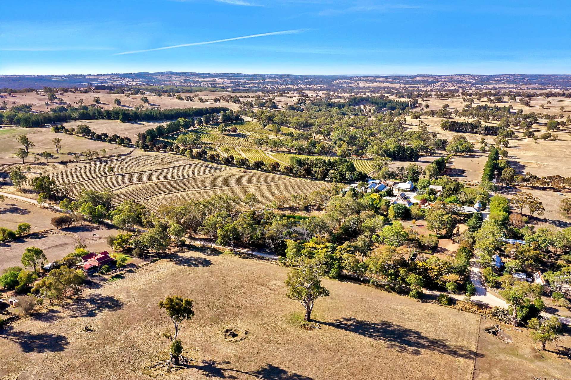 274 Laubes Road, Springton For Sale by Farmbuy.com - image 14