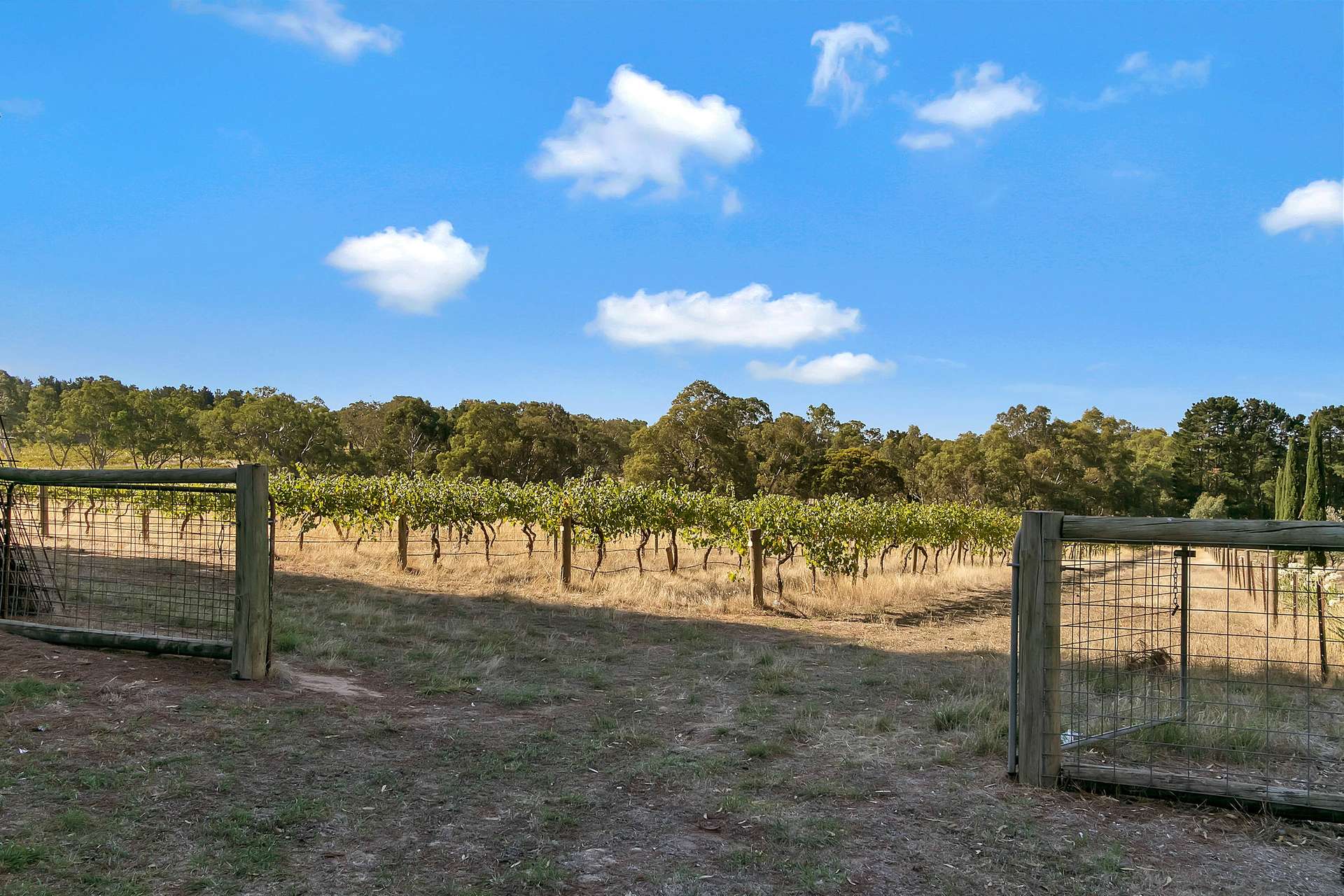 274 Laubes Road, Springton For Sale by Farmbuy.com - image 34